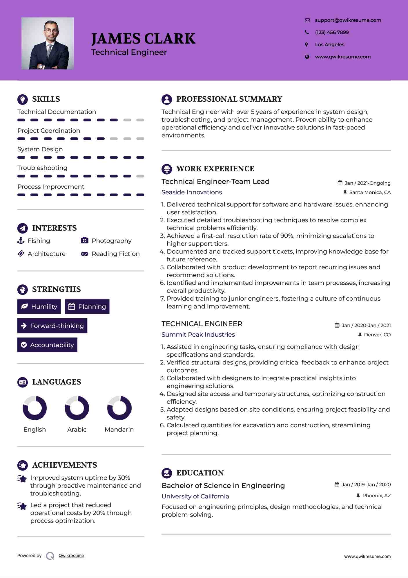 Technical Engineer-Team Lead Resume Model