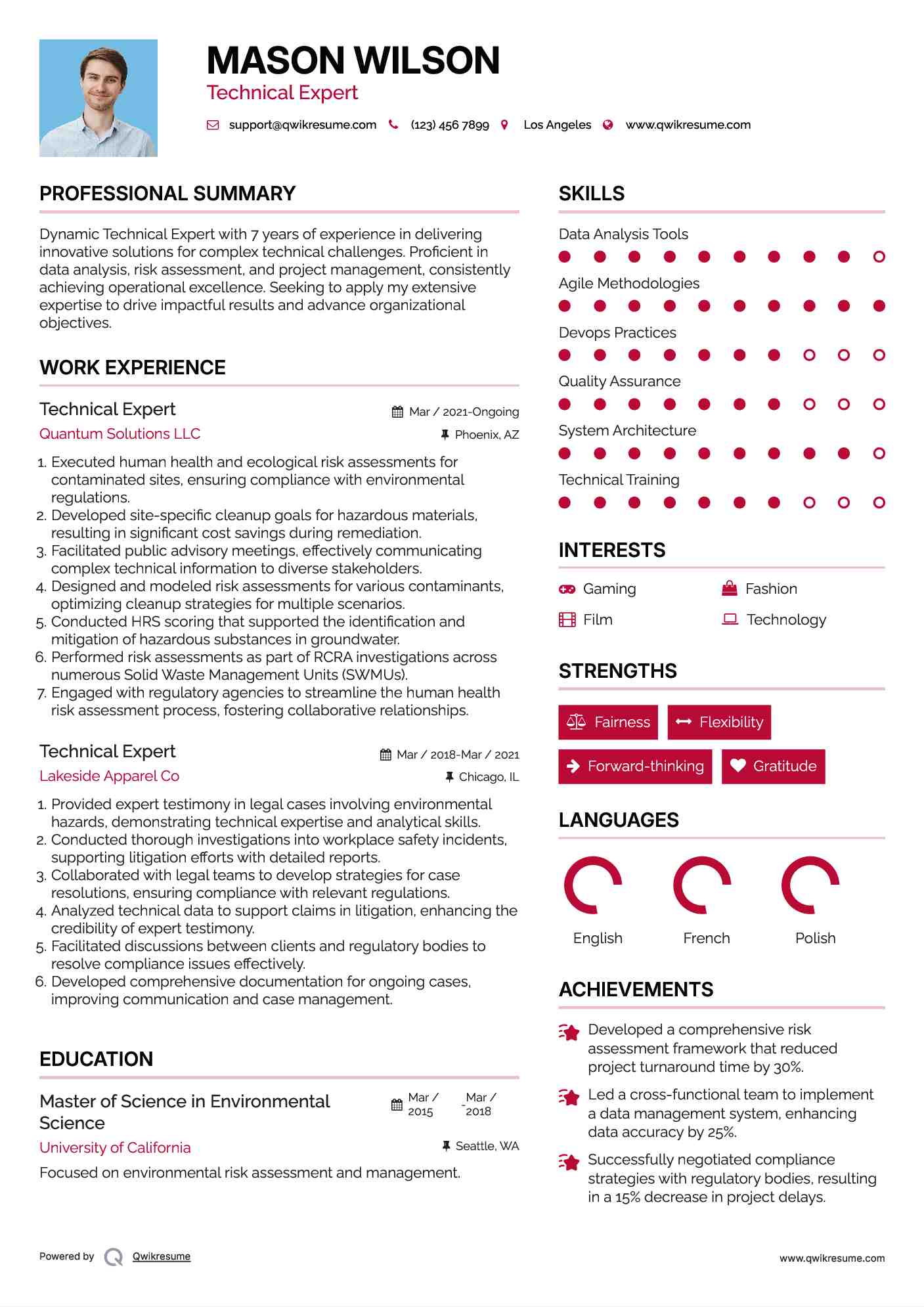 Technical Expert Resume Example