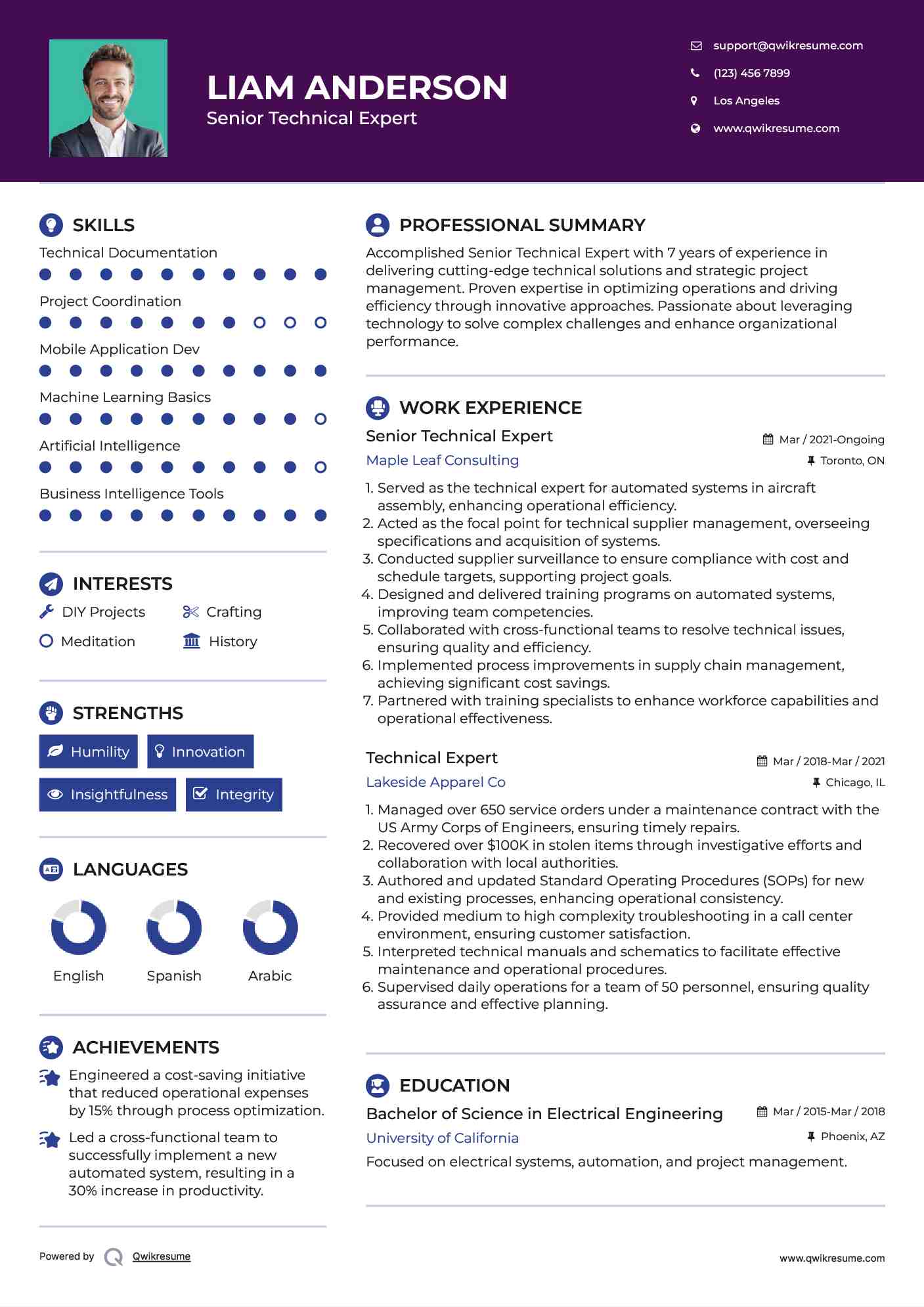Senior Technical Expert Resume Template