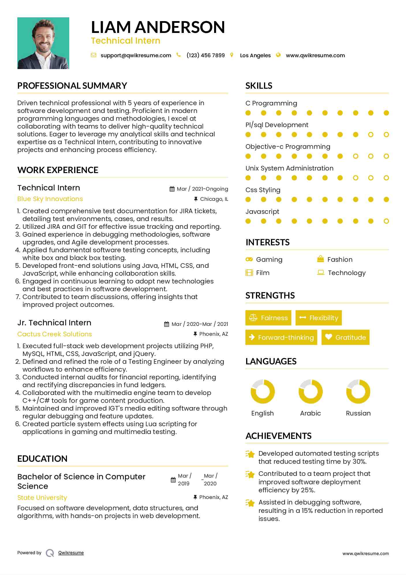 Technical Intern Resume Example