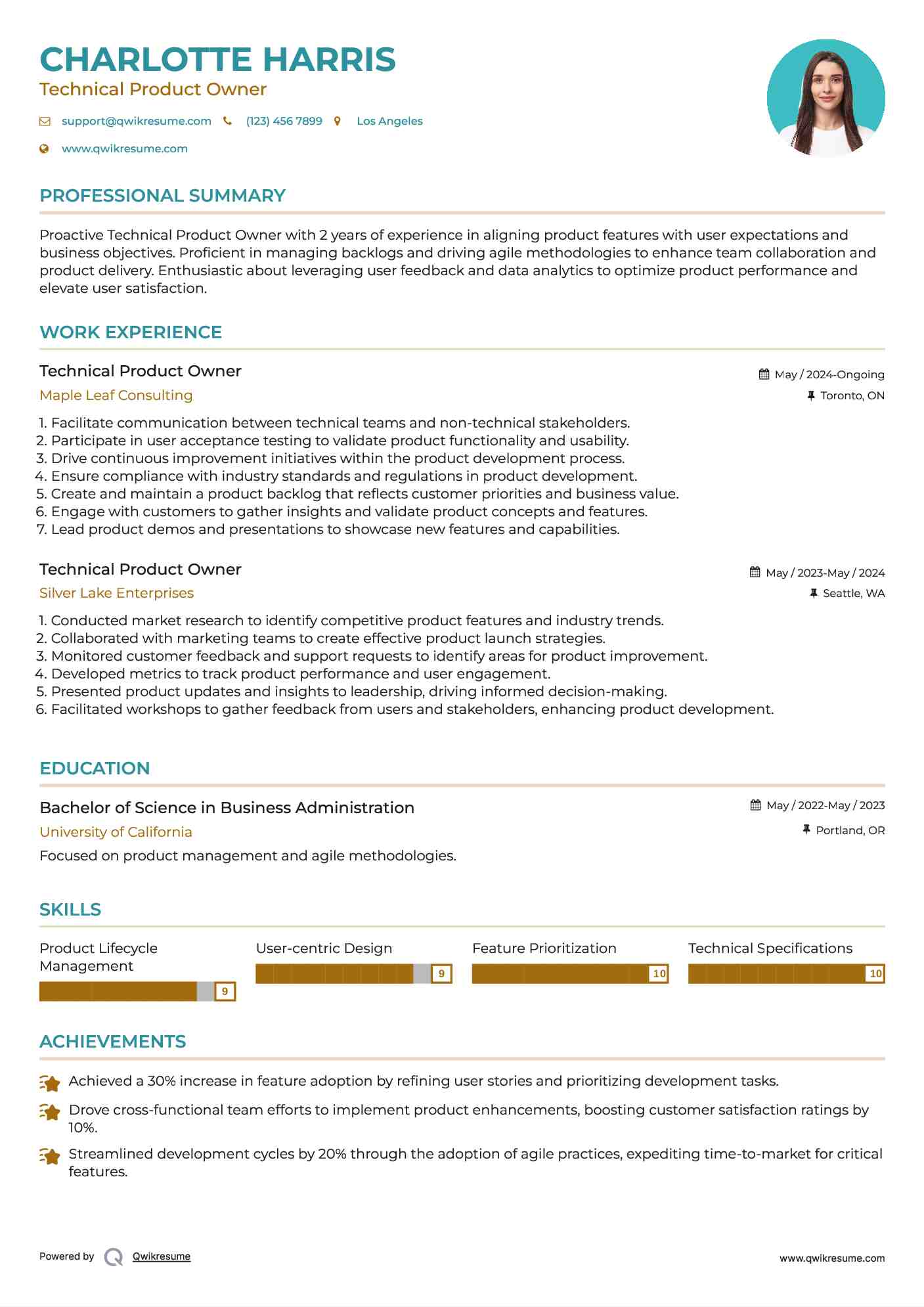 Technical Product Owner Resume Sample