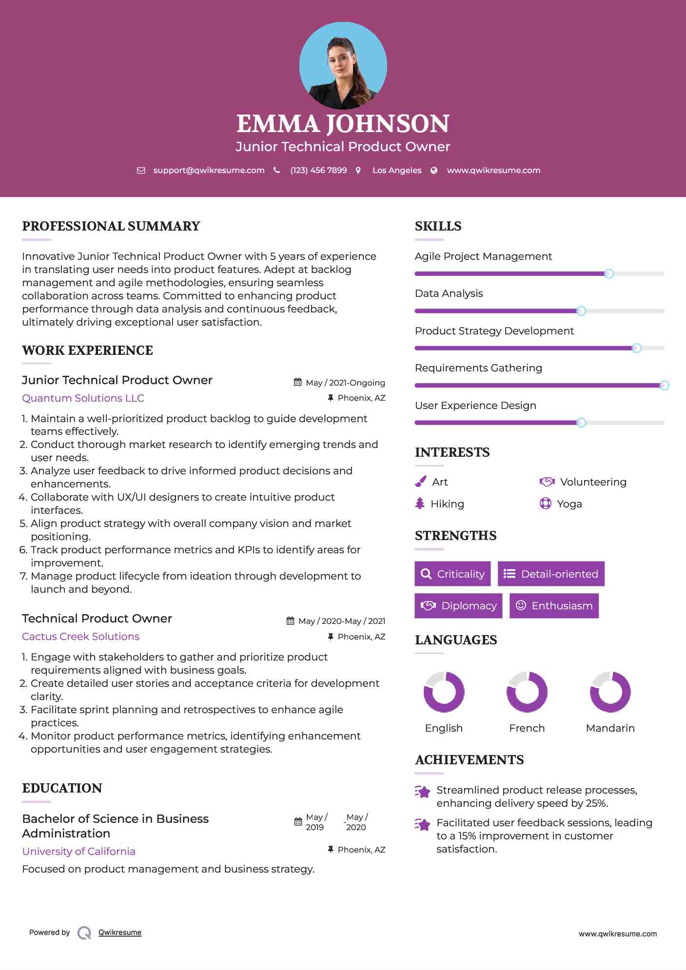 Junior Technical Product Owner Resume Example