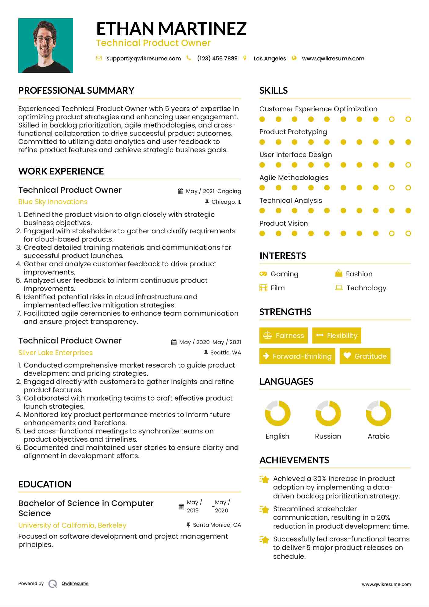 Technical Product Owner Resume Example