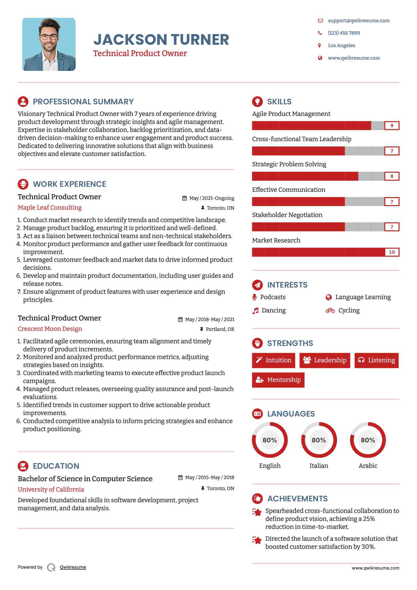 Technical Product Owner Resume Template