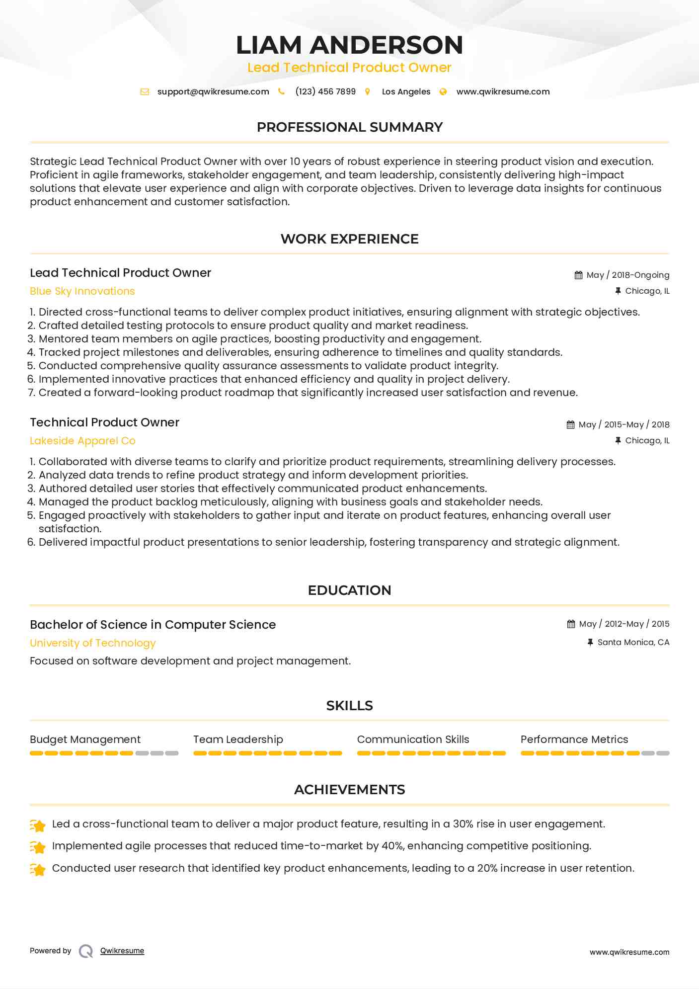 Lead Technical Product Owner Resume Model