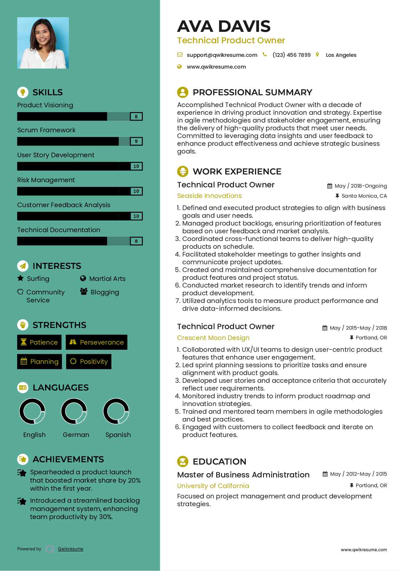 Technical Product Owner Resume Template