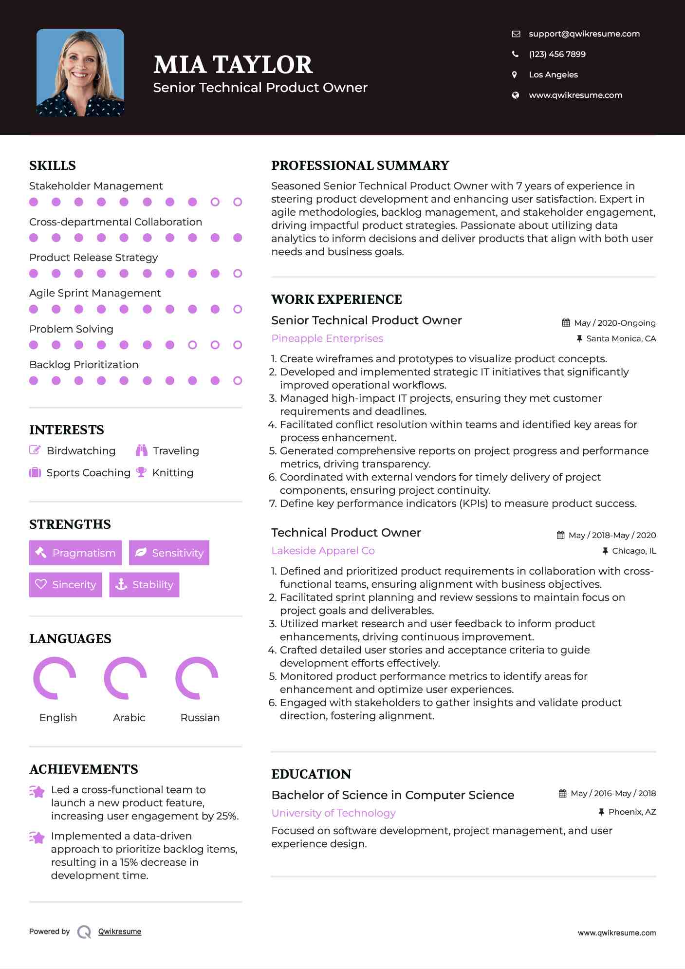 Senior Technical Product Owner Resume Template