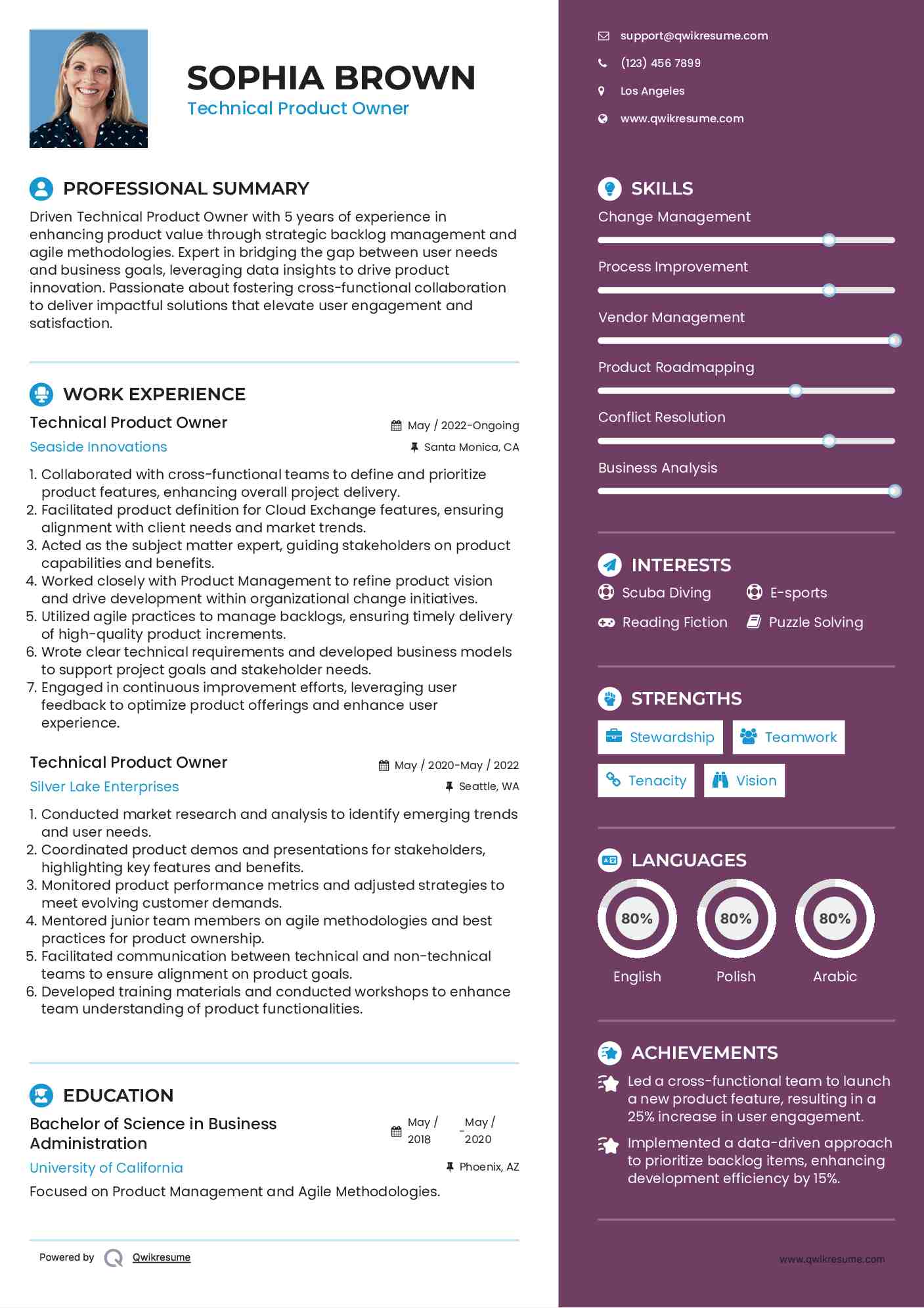 Technical Product Owner Resume Model