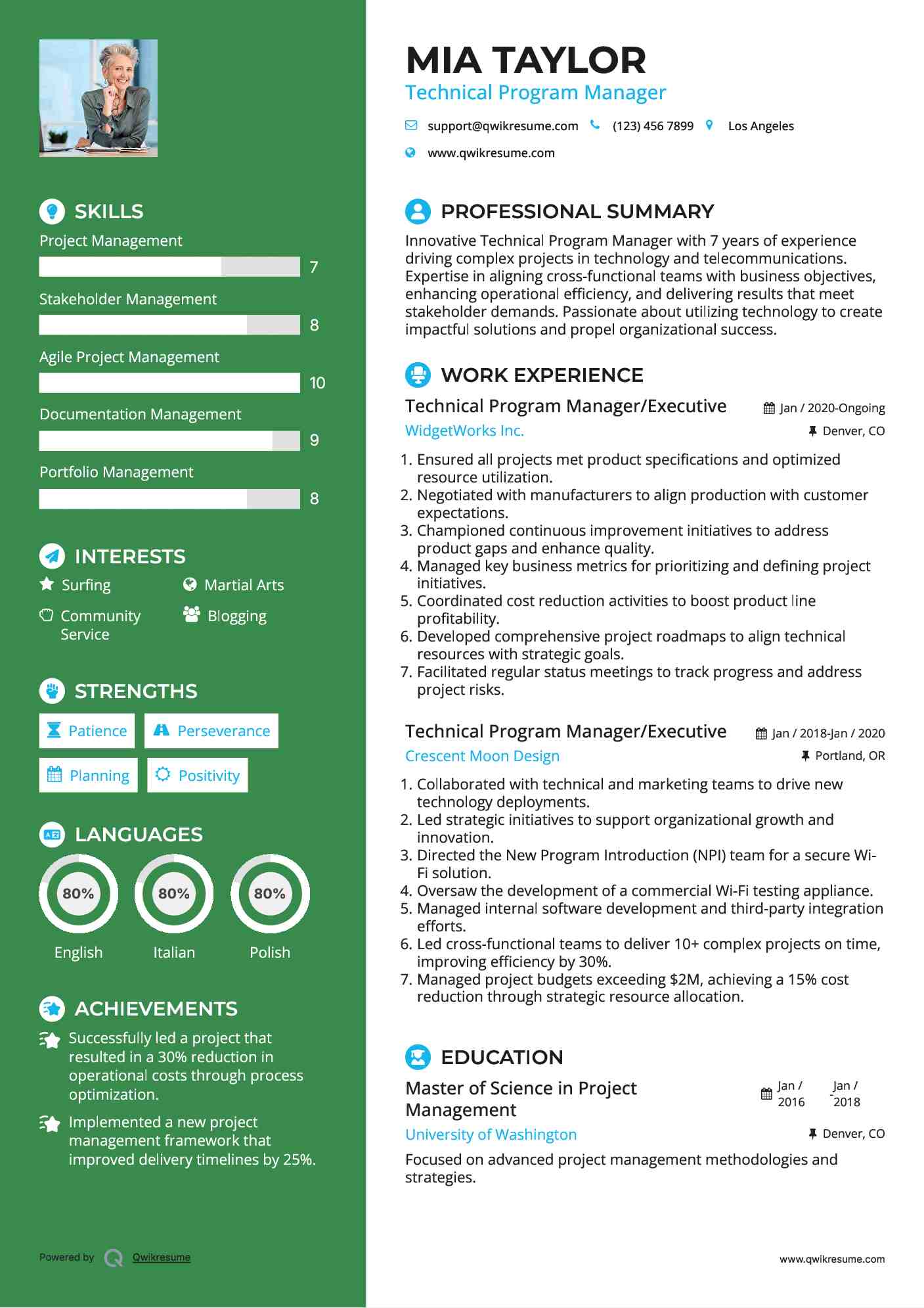 Technical Program Manager/Executive Resume Example