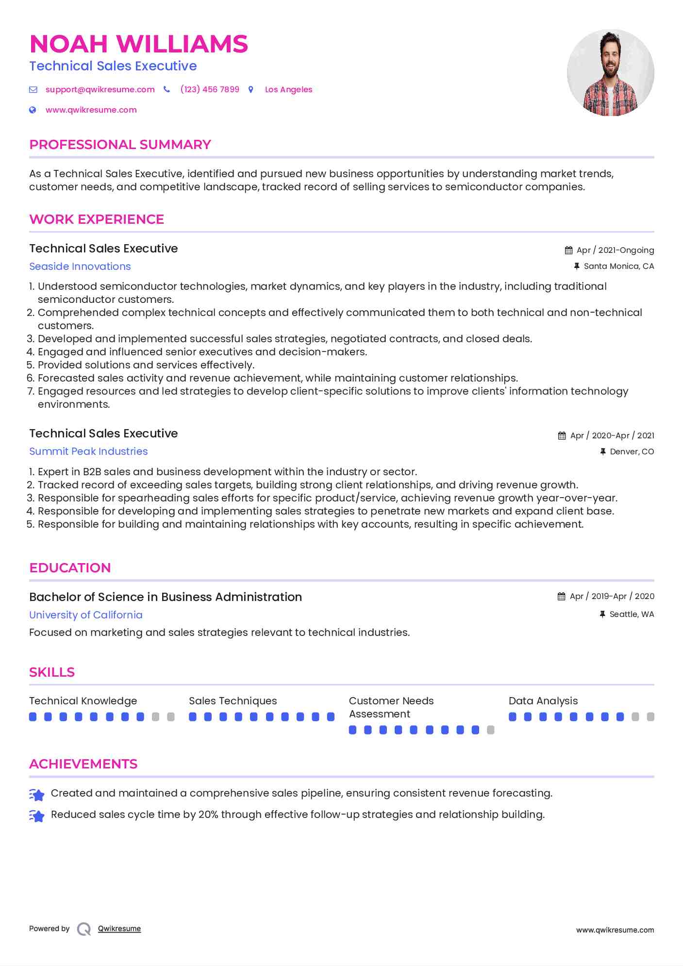 Technical Sales Executive Resume Sample