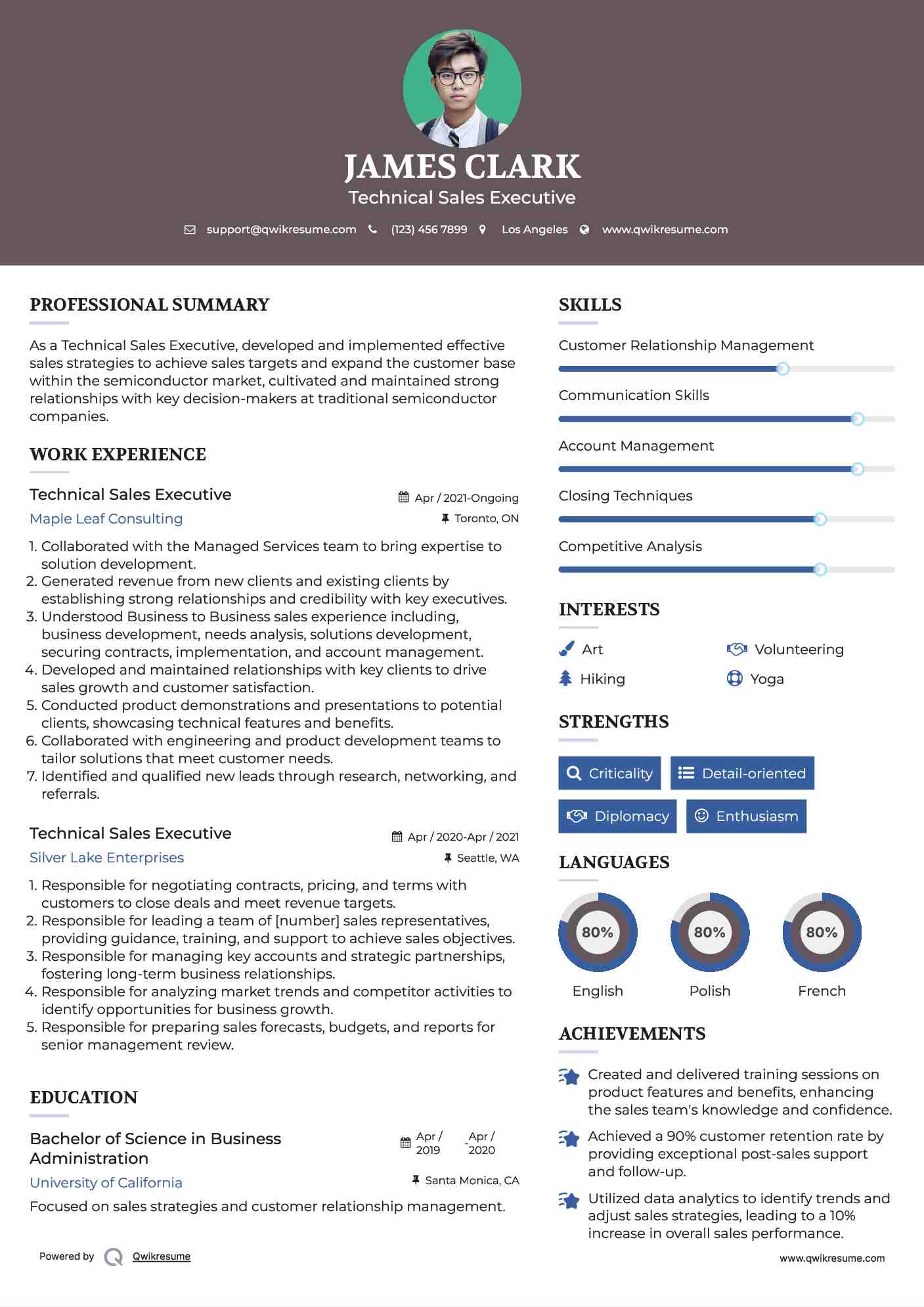 Technical Sales Executive Resume Sample
