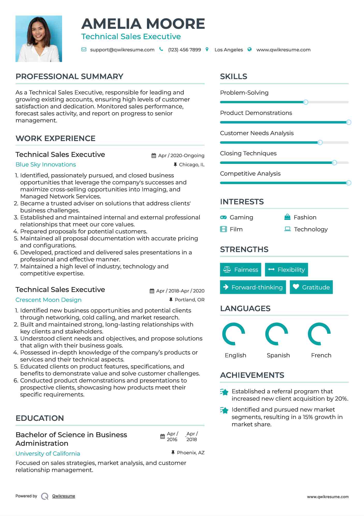 Technical Sales Executive Resume Model
