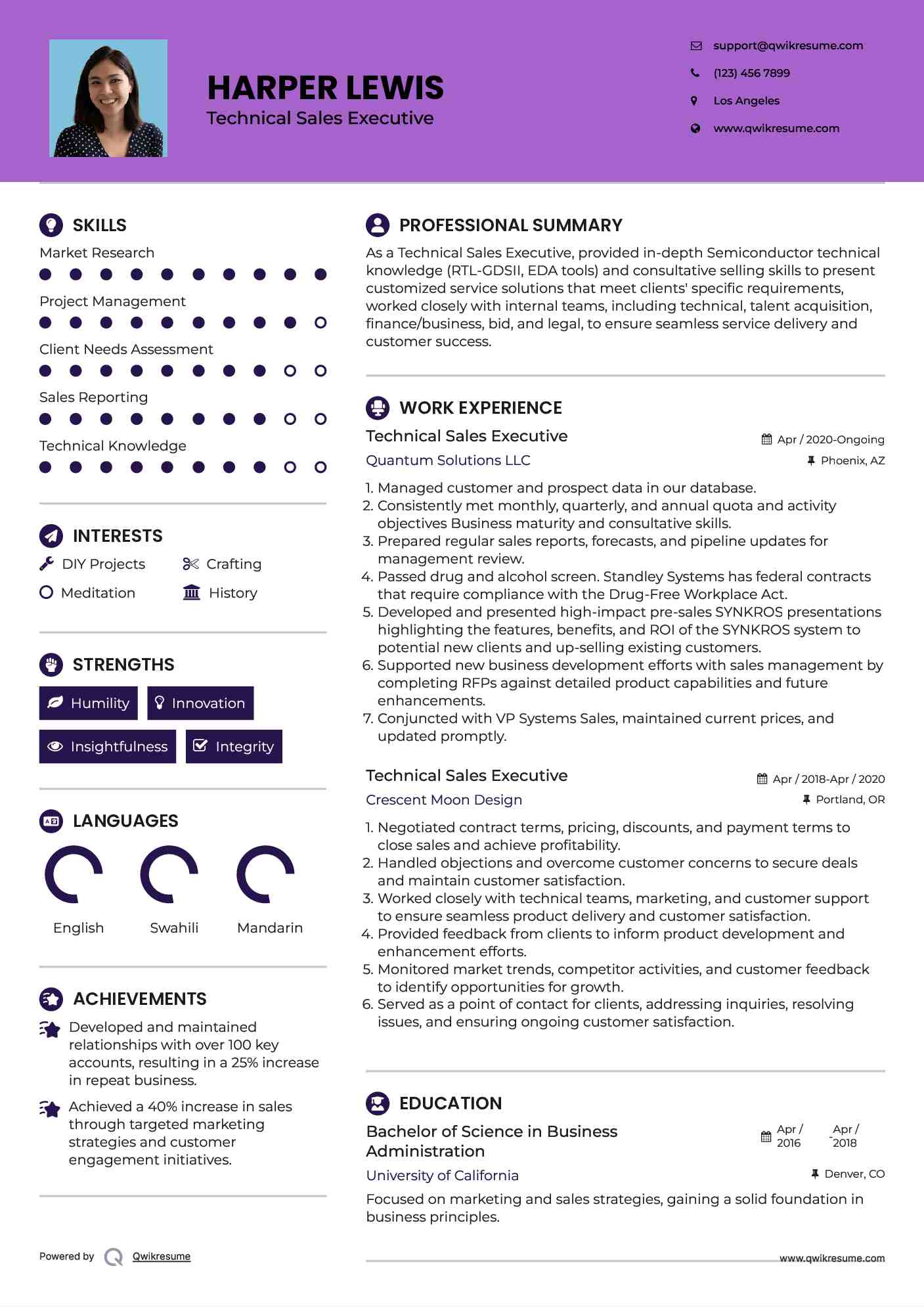 Technical Sales Executive Resume Example