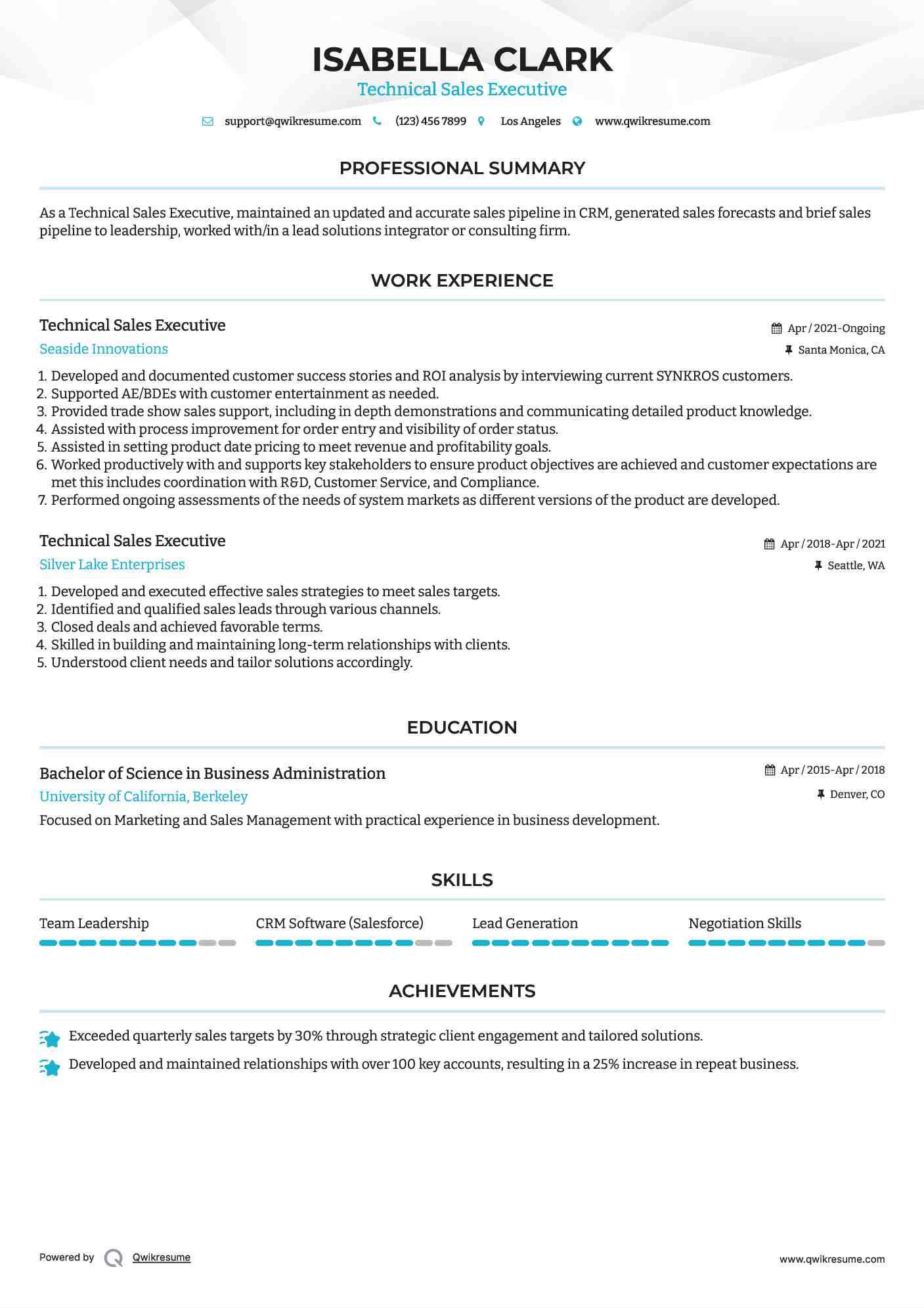 Technical Sales Executive Resume Model