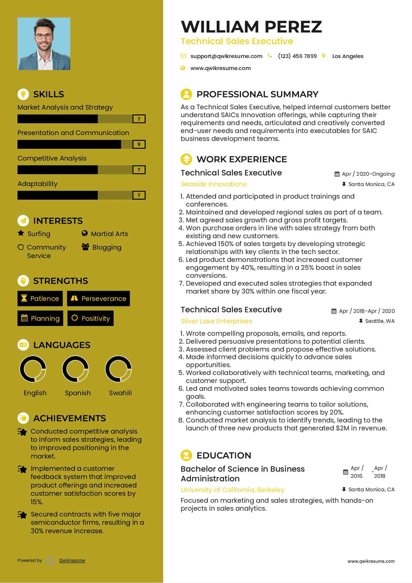 Technical Sales Executive Resume Example
