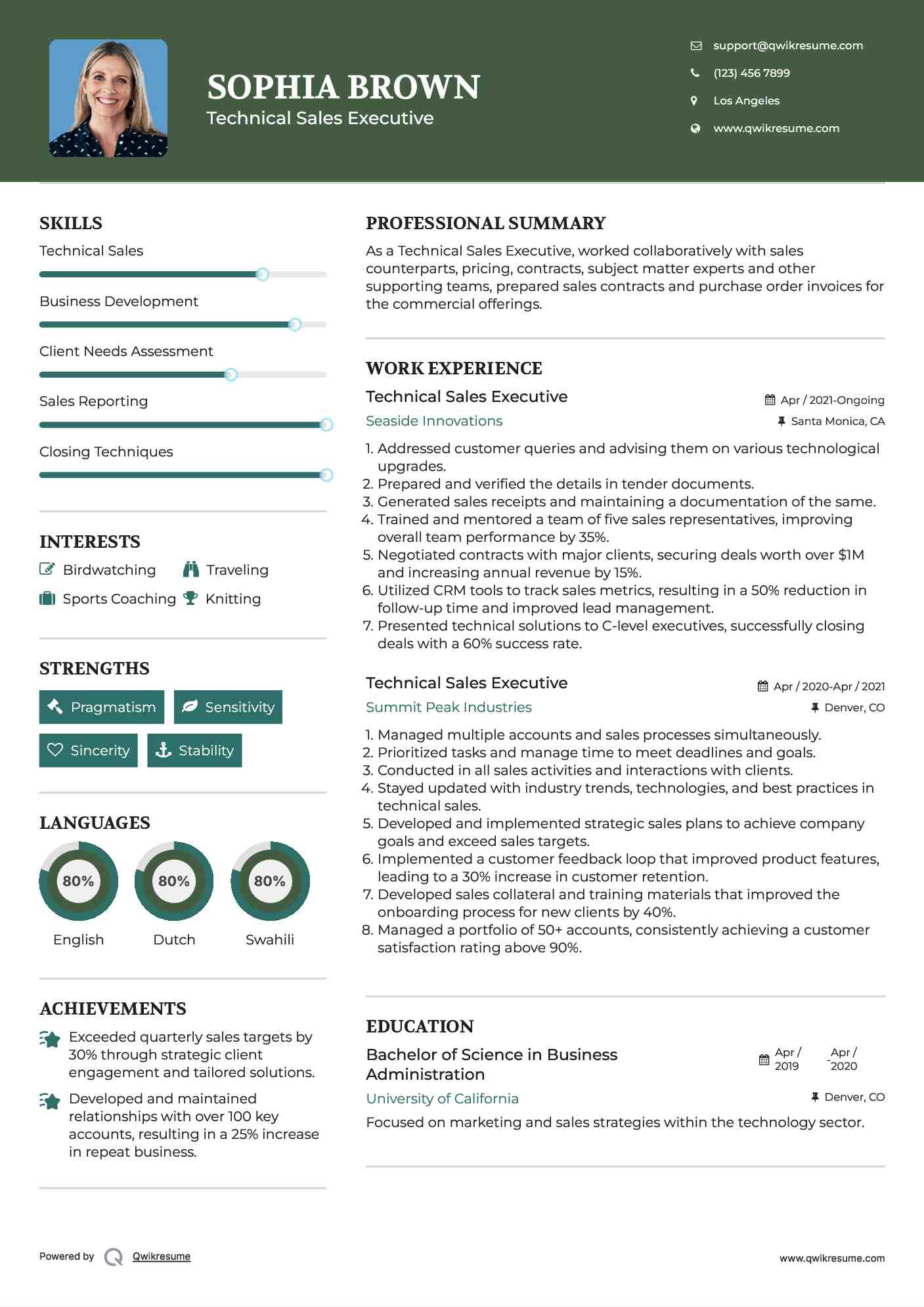 Technical Sales Executive Resume Template