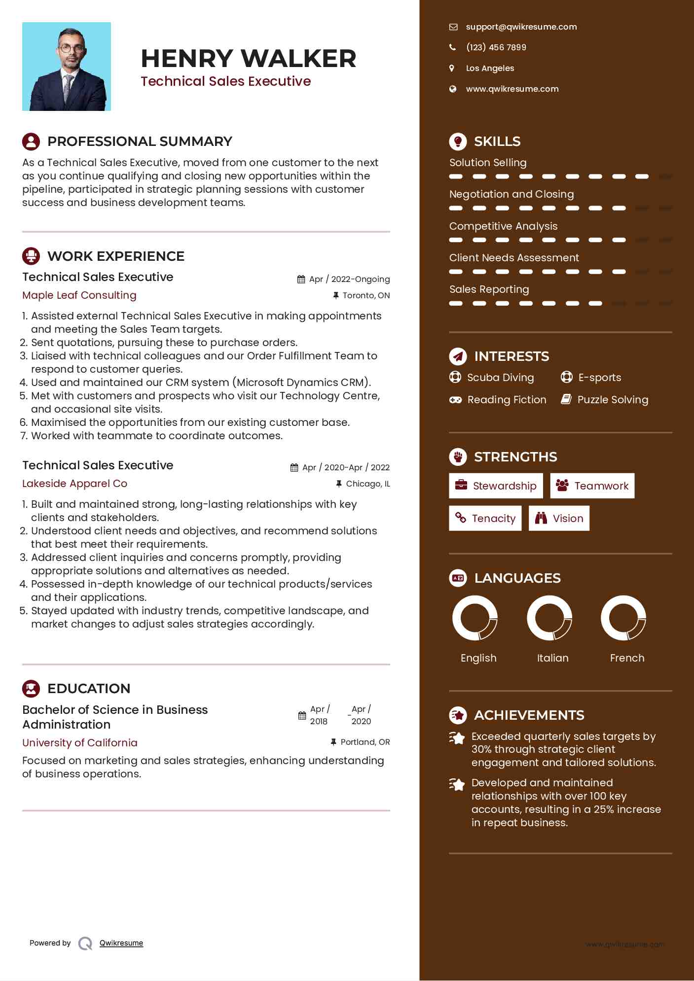 Technical Sales Executive Resume Model