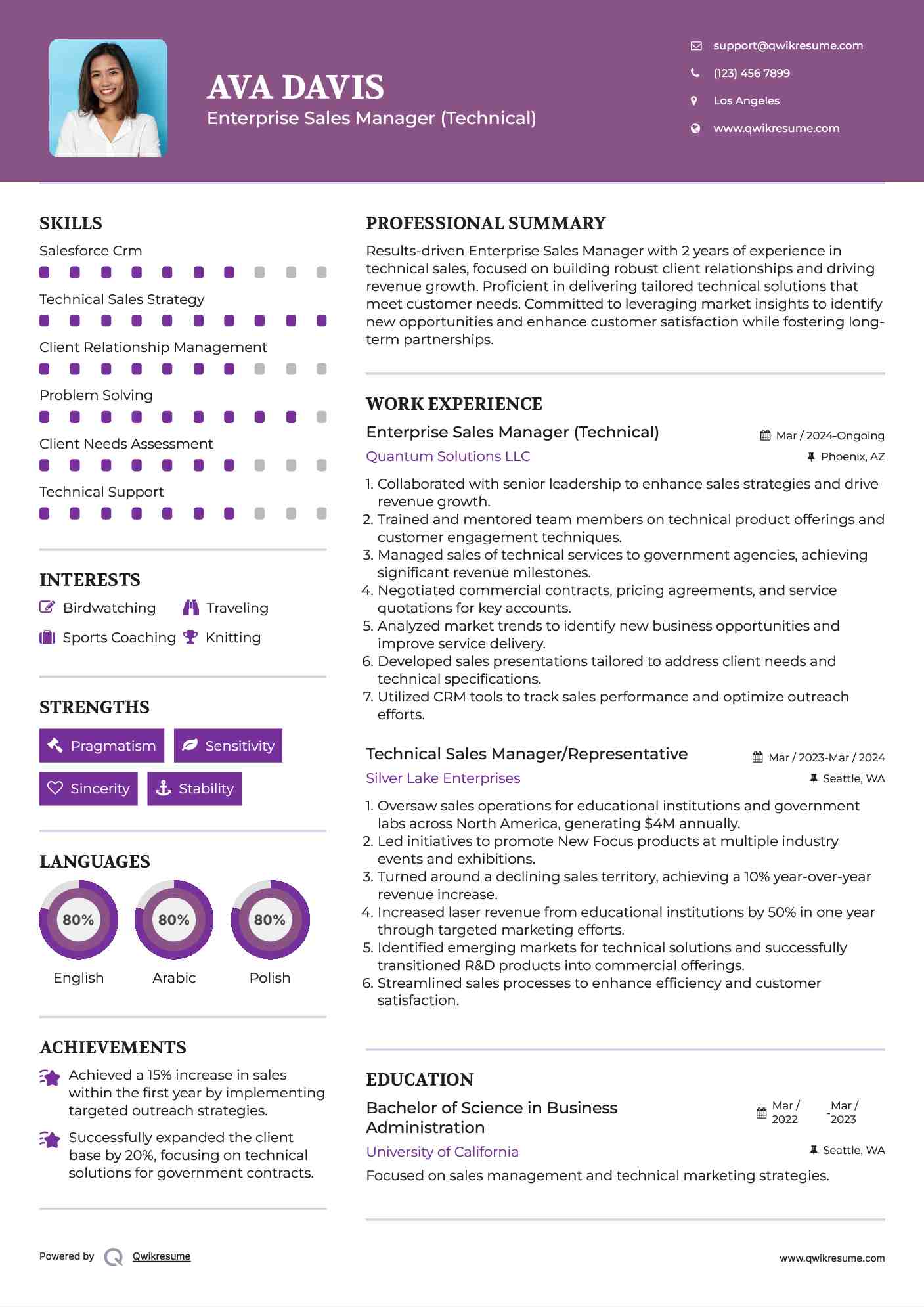 Enterprise Sales Manager (Technical) Resume Template