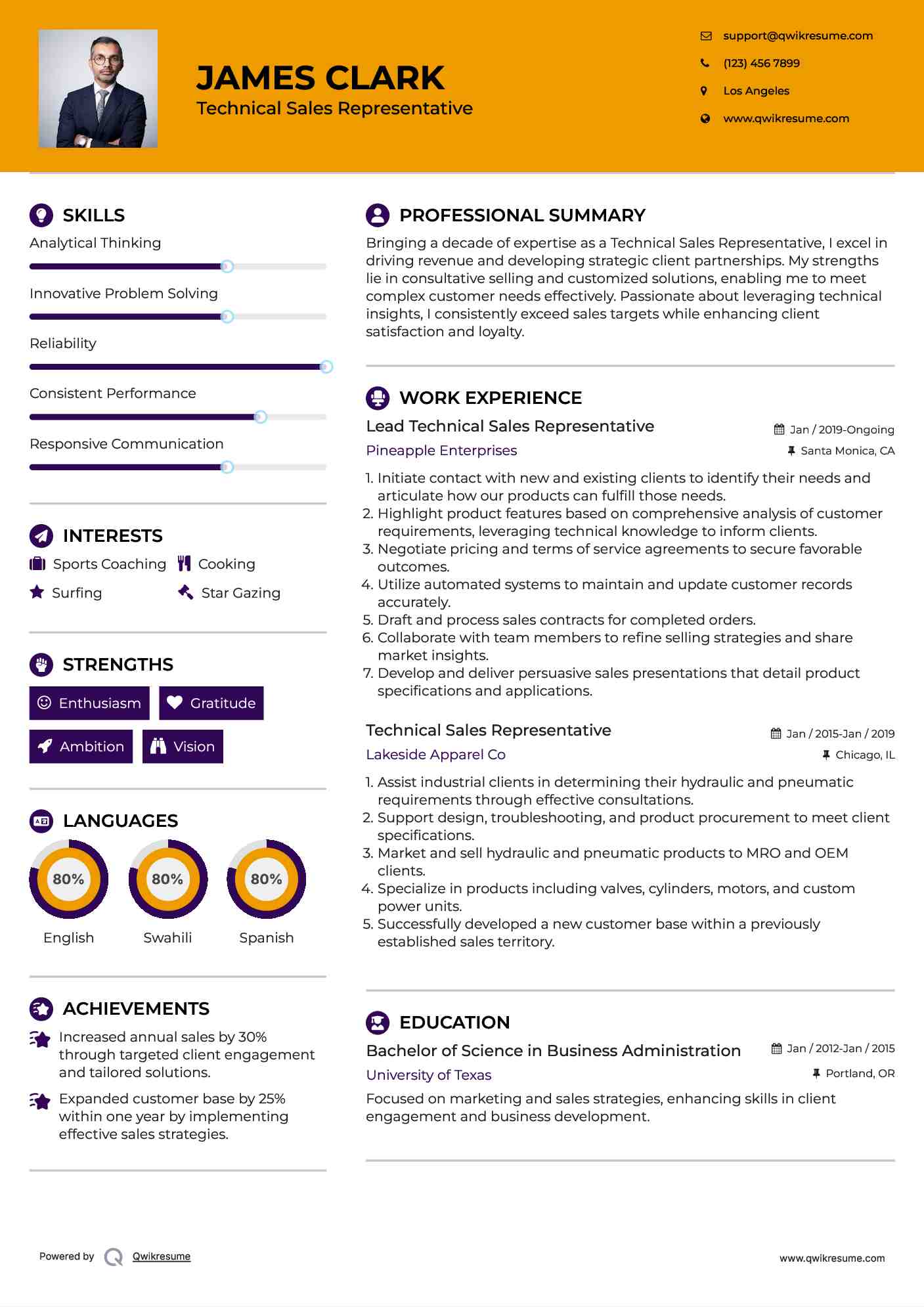 Lead Technical Sales Representative Resume Model