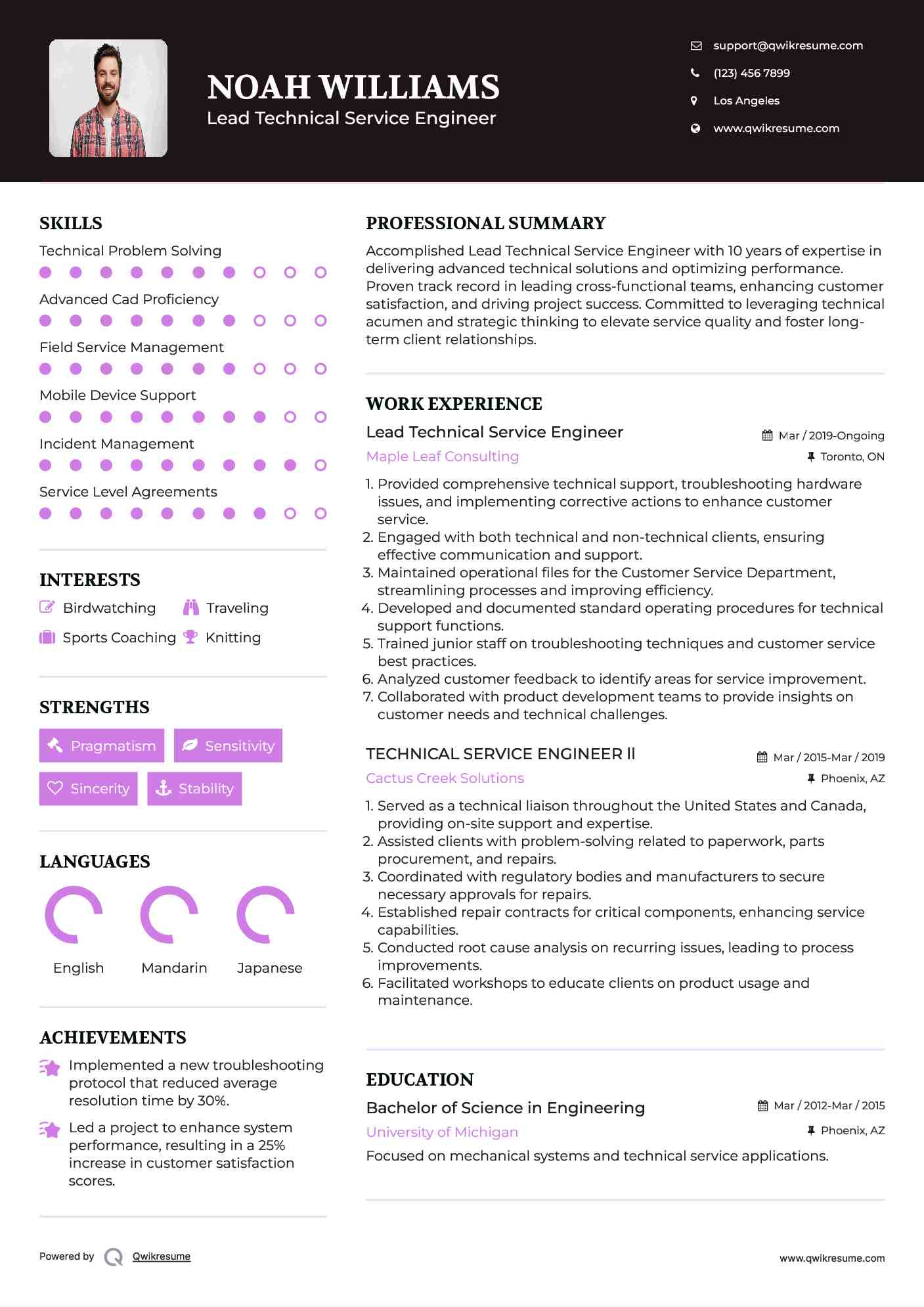 Lead Technical Service Engineer Resume Model