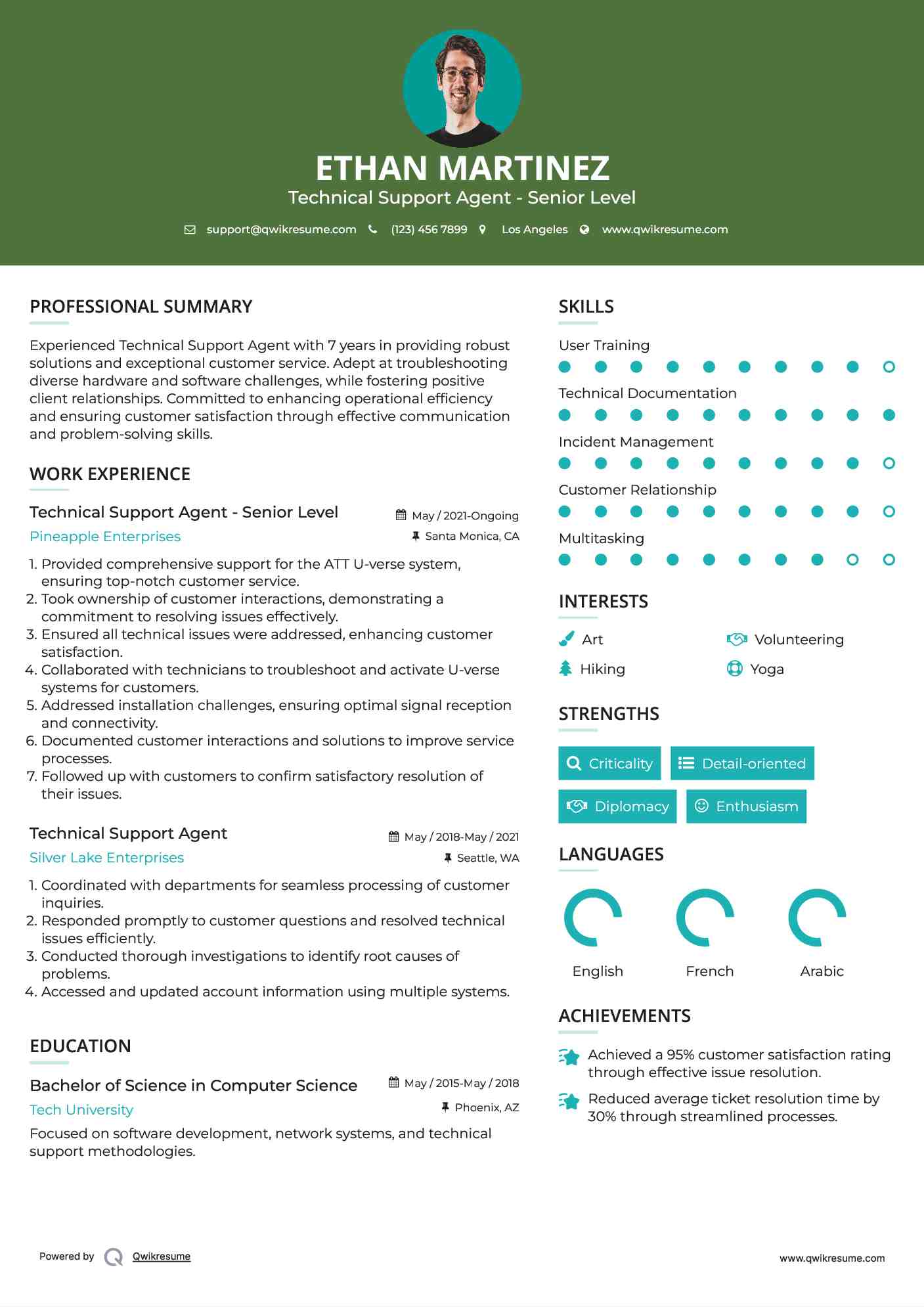 Technical Support Agent - Senior Level Resume Sample