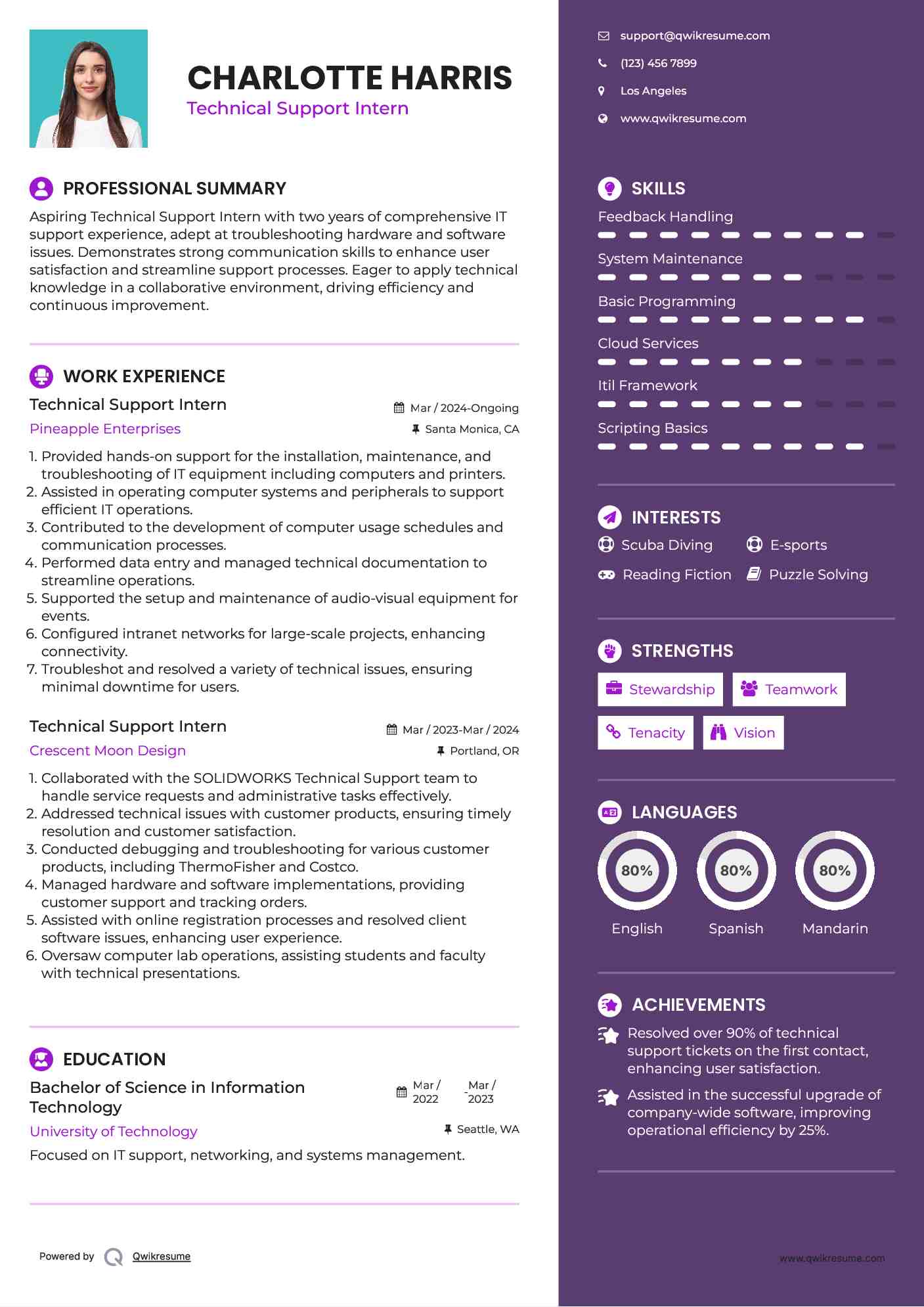 Technical Support Intern Resume Example