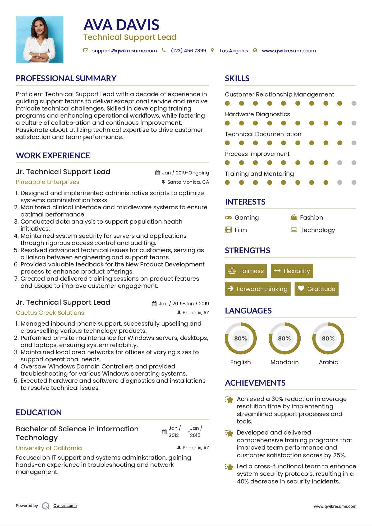 Jr. Technical Support Lead Resume Template
