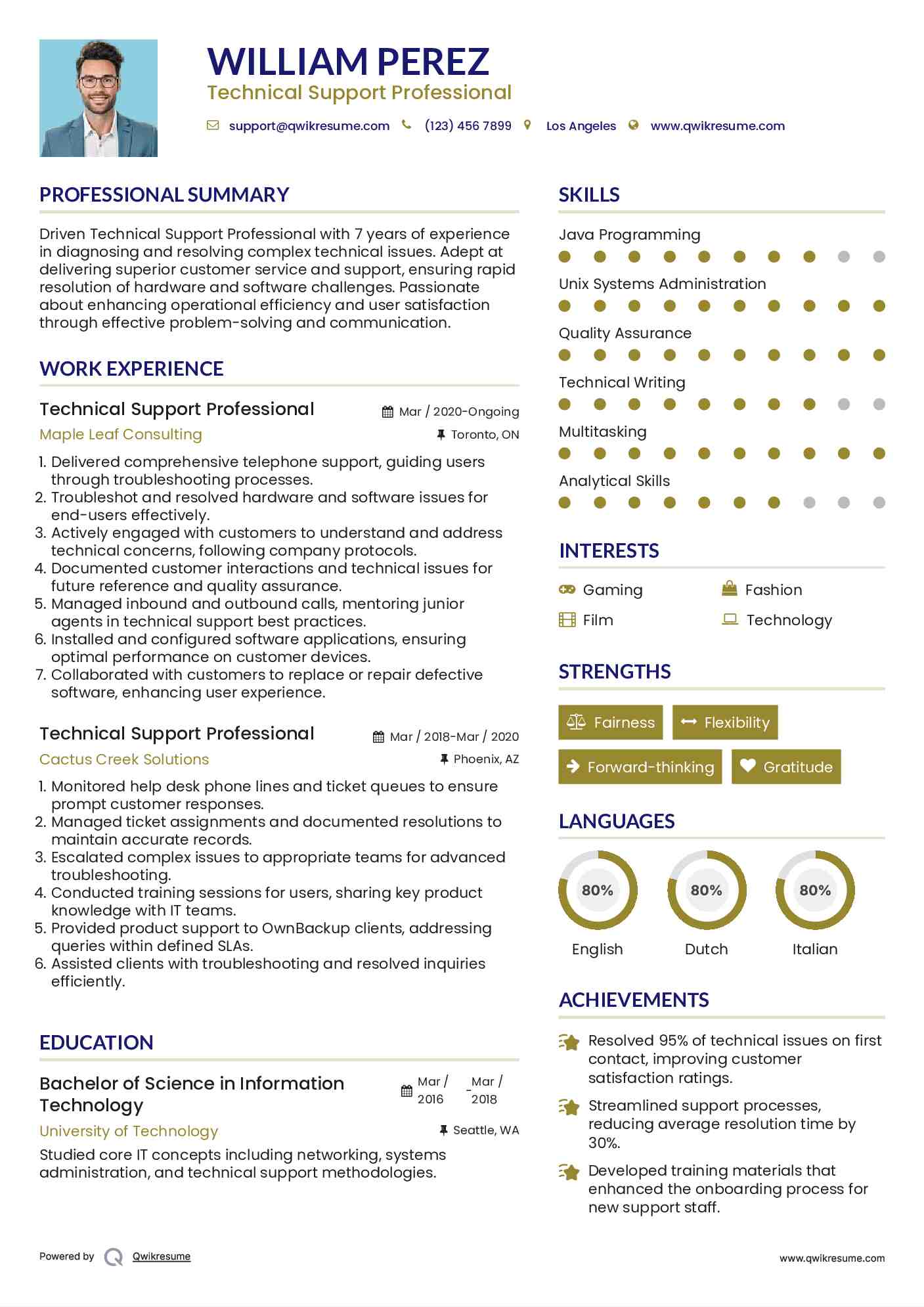 Technical Support Professional Resume Example