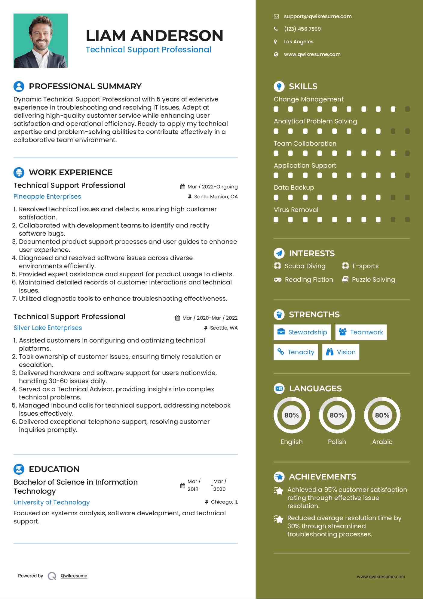 Technical Support Professional Resume Model