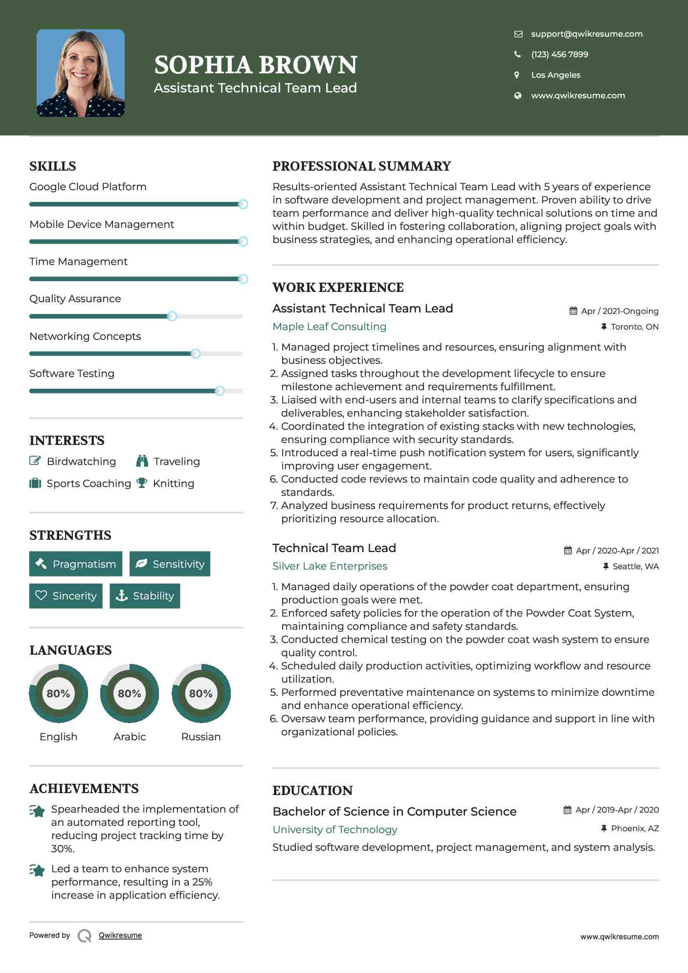 Assistant Technical Team Lead Resume Example