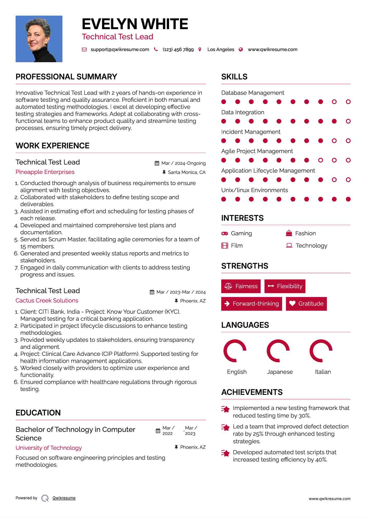Technical Test Lead Resume Sample