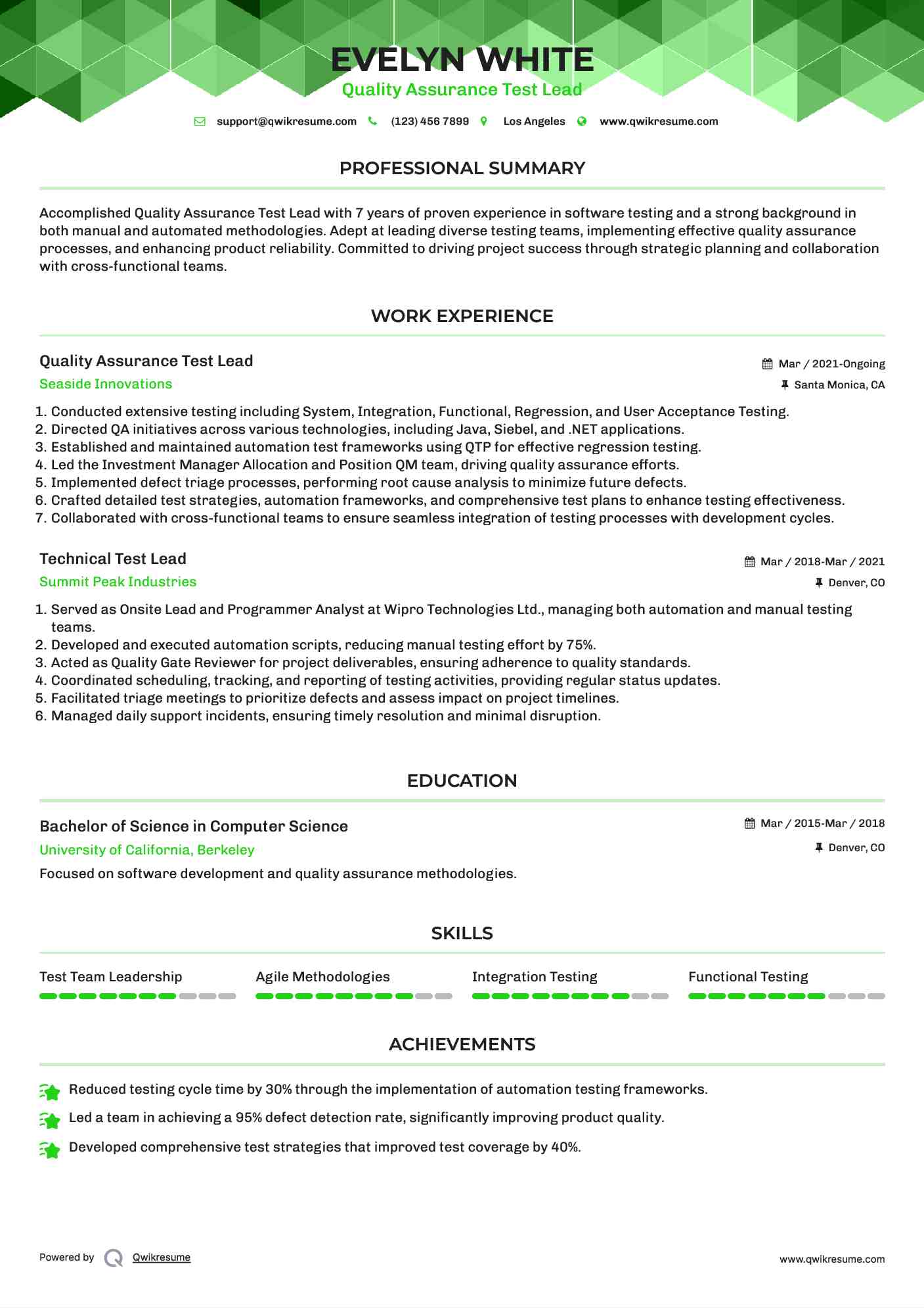 Quality Assurance Test Lead Resume Format
