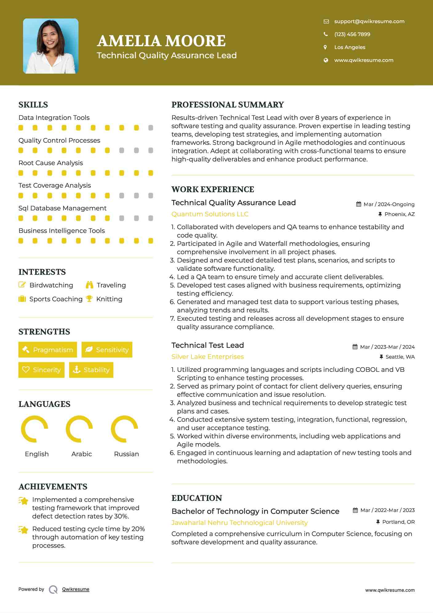 Technical Test Lead Resume Samples QwikResume