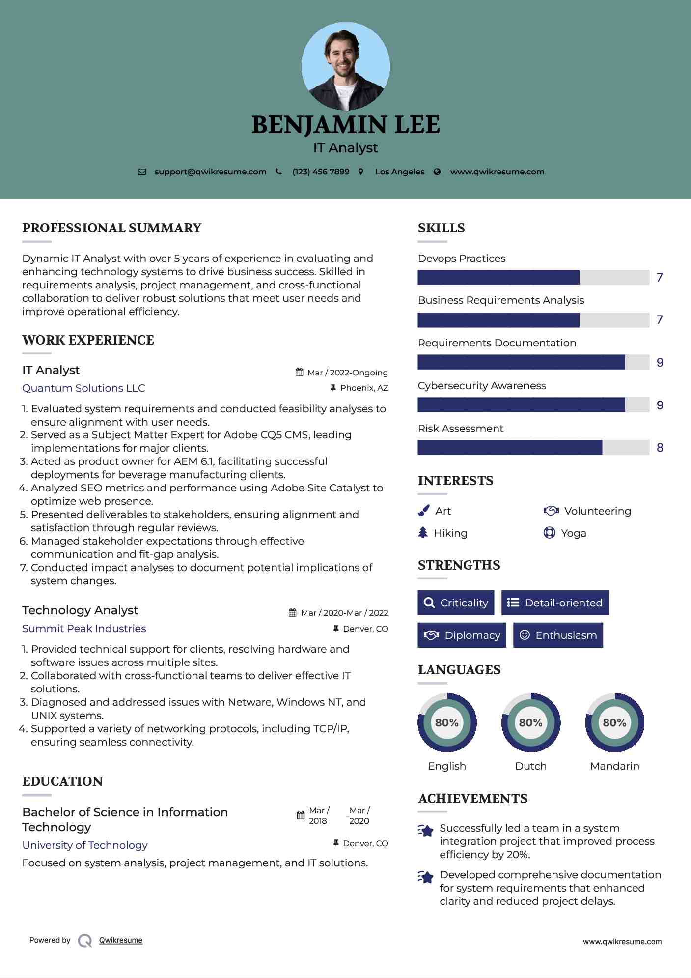 IT Analyst Resume Sample