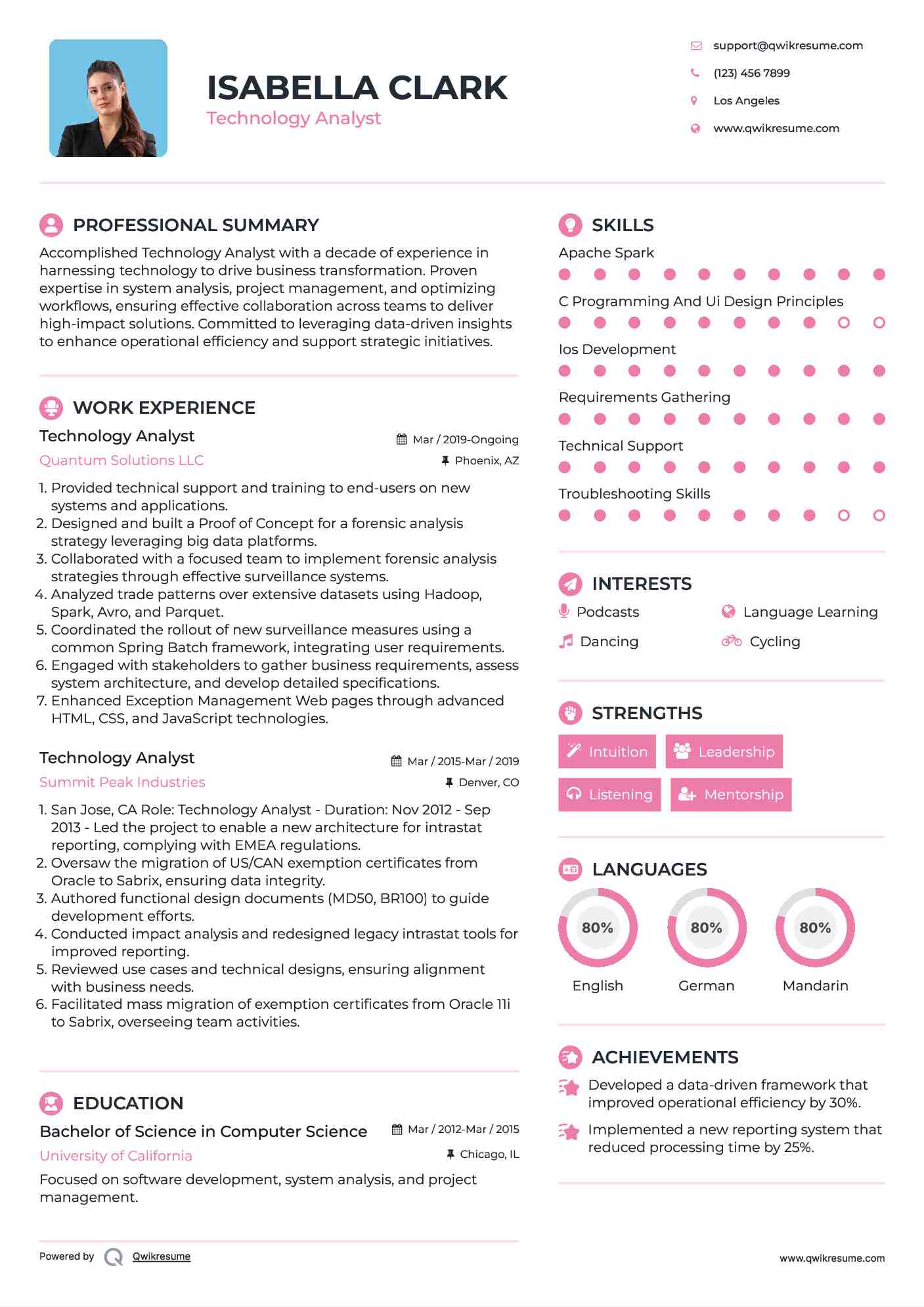 Technology Analyst Resume Model