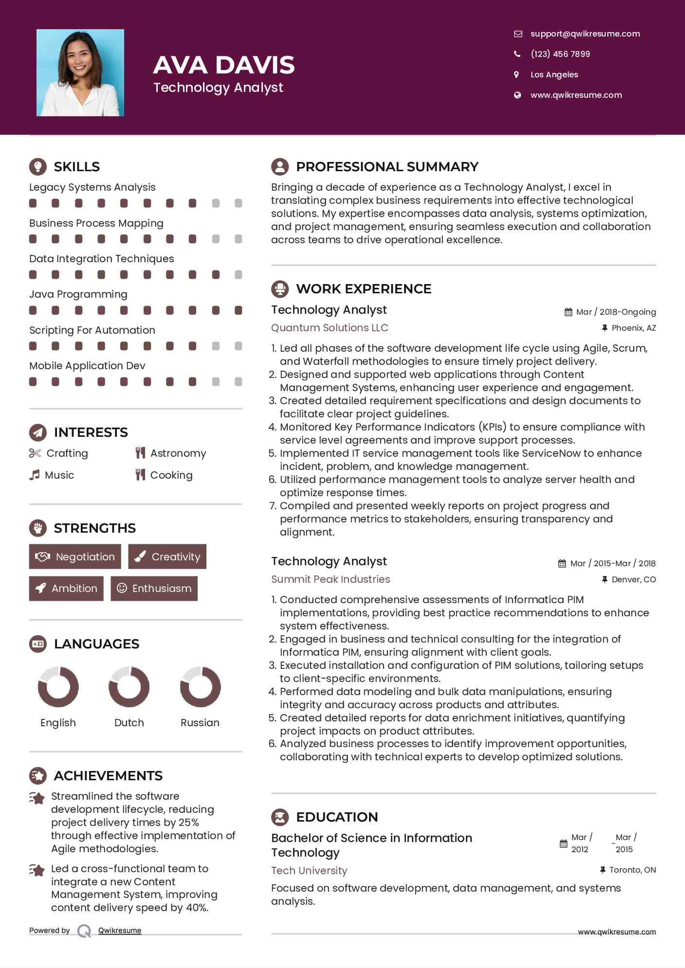 Technology Analyst Resume Template