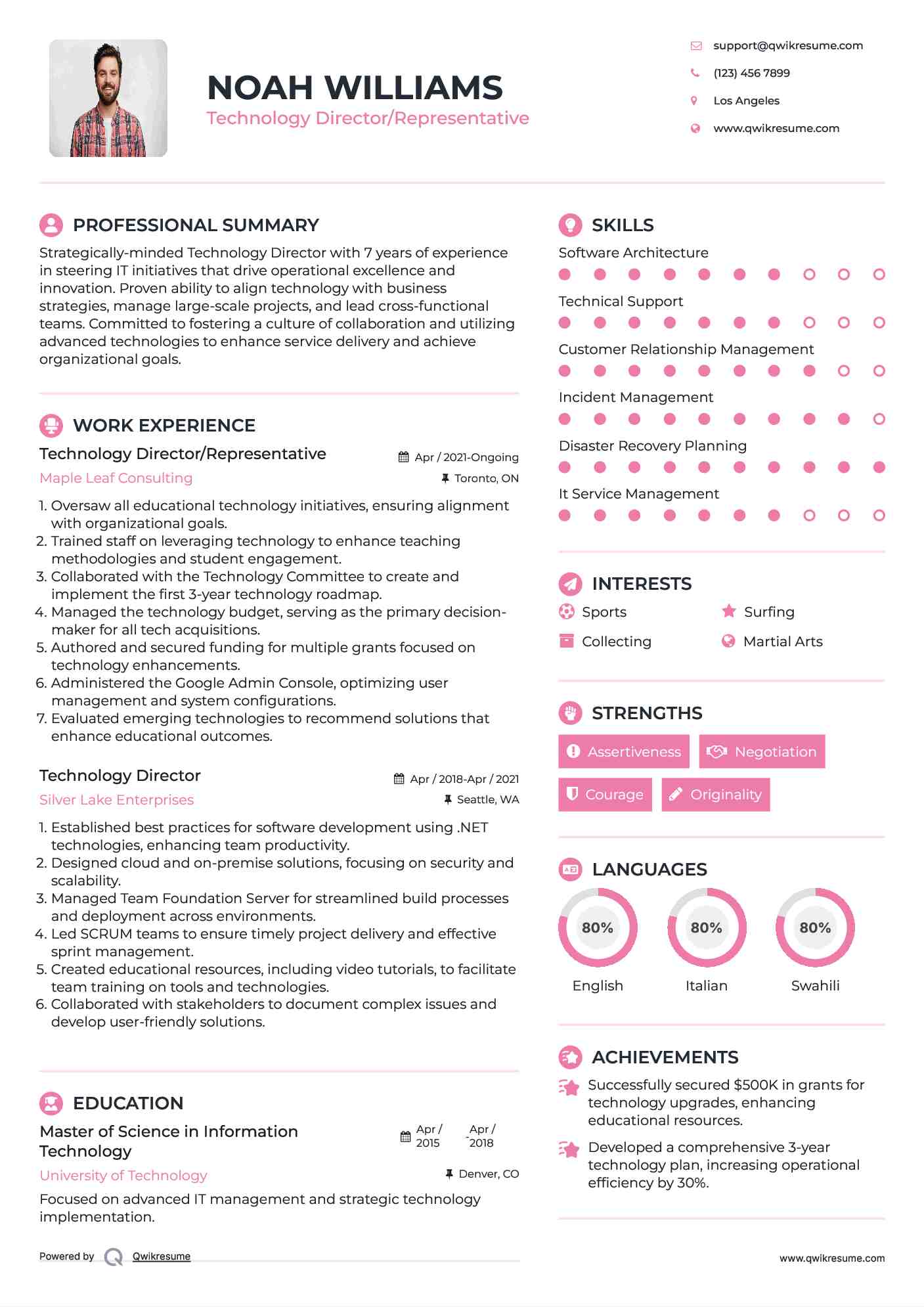 Technology Director/Representative Resume Model