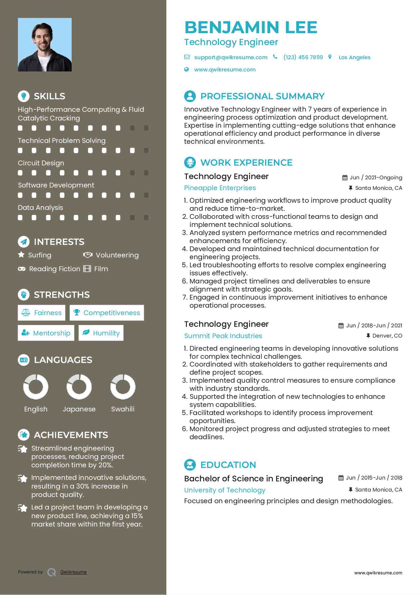 Technology Engineer Resume Template