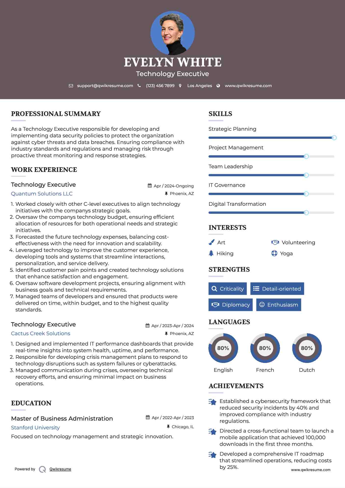 Technology Executive Resume Example