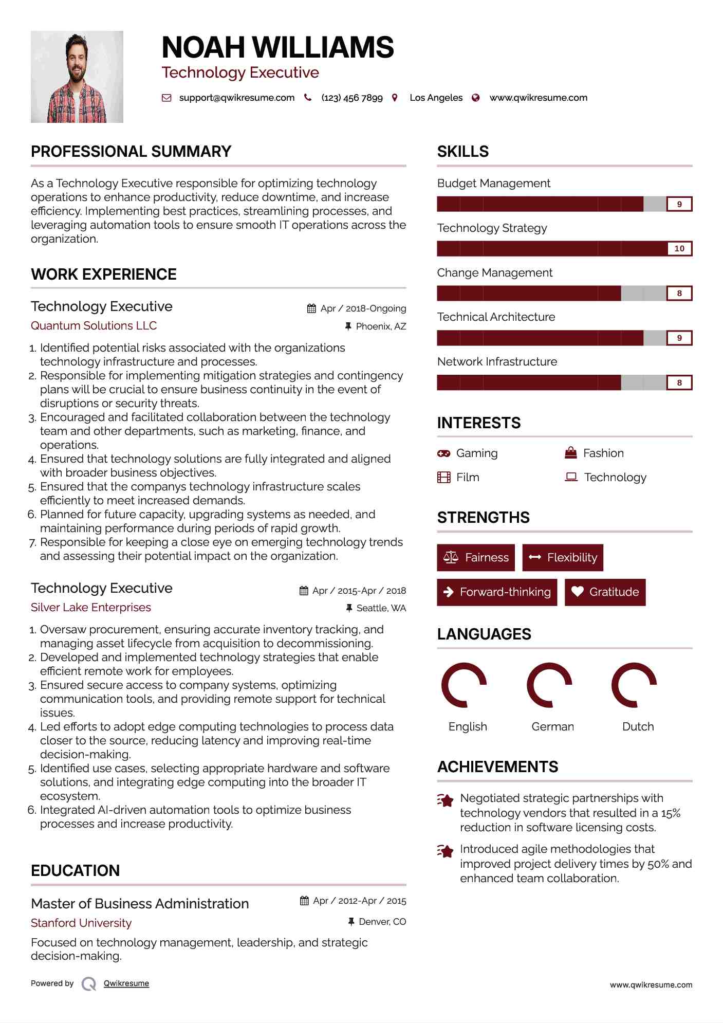 Technology Executive Resume Example