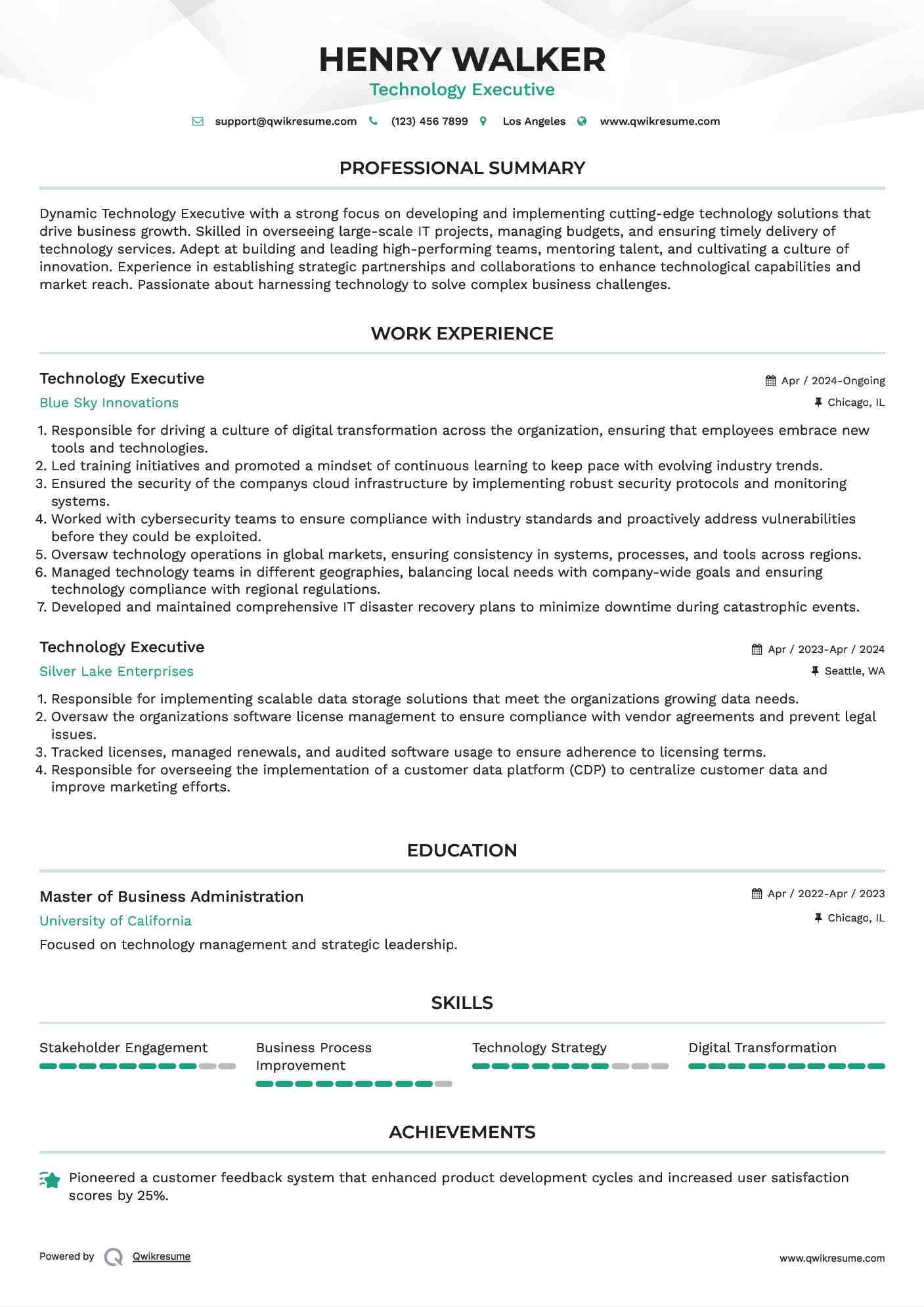 Technology Executive Resume Template