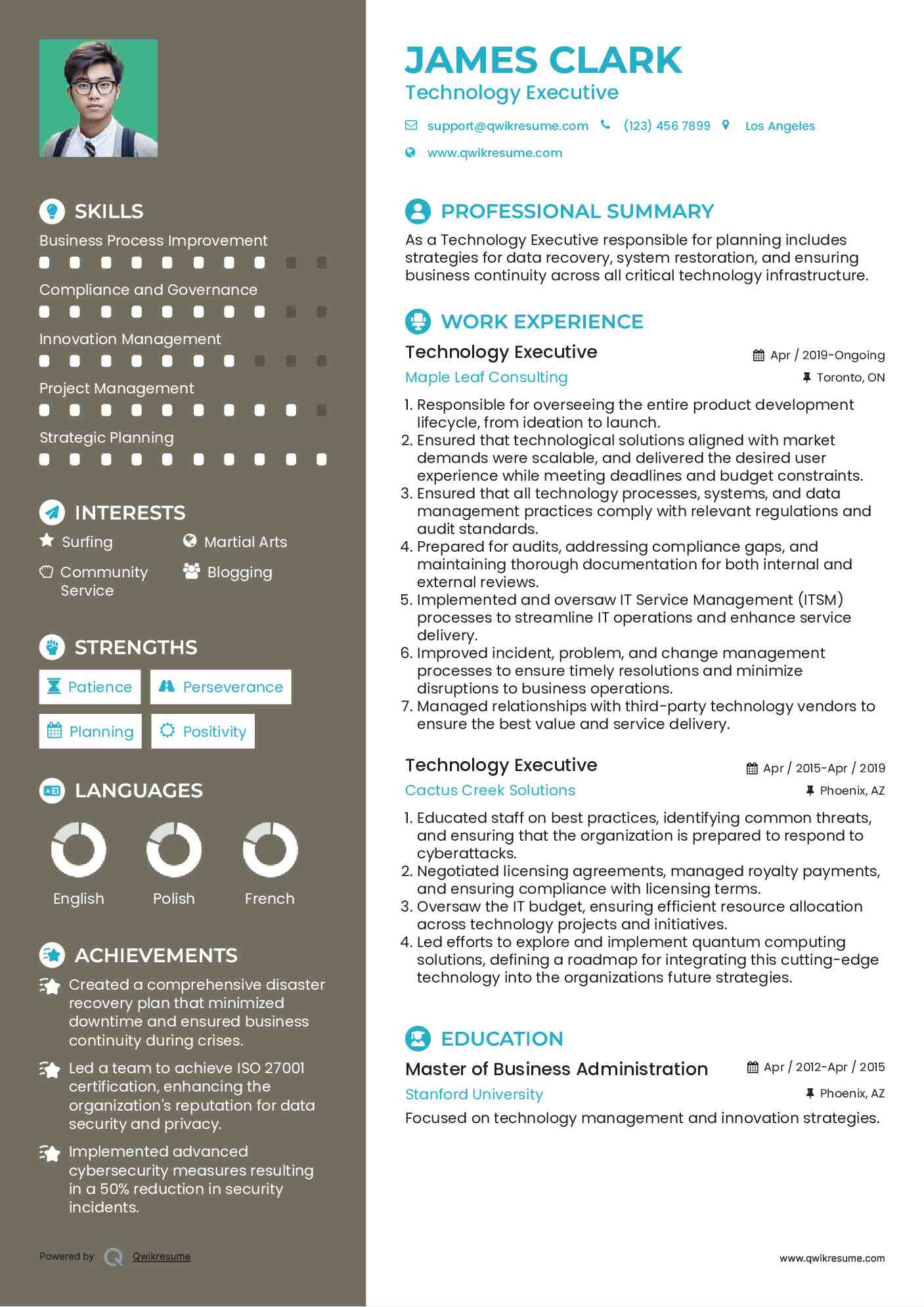 Technology Executive Resume Example