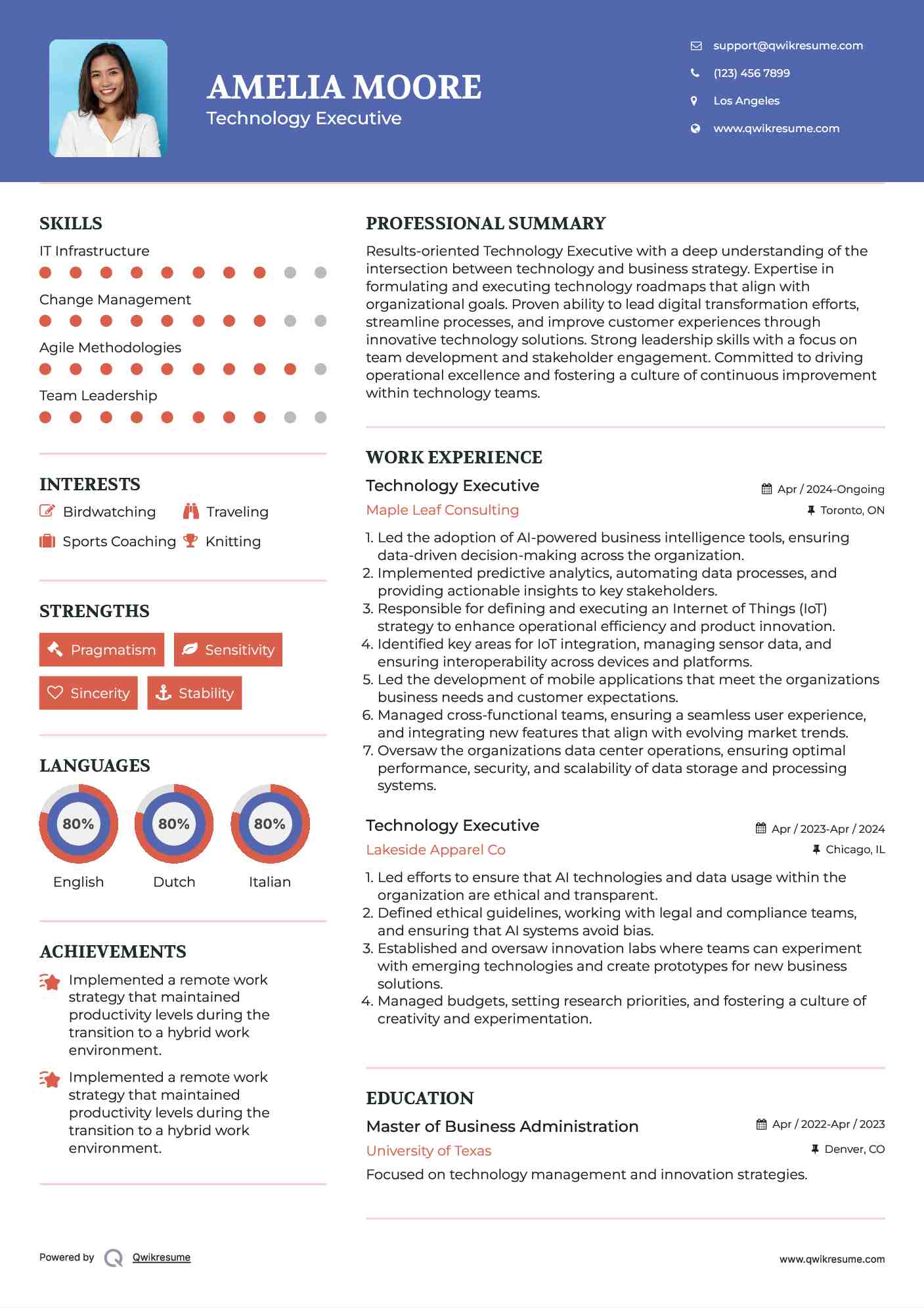 Technology Executive Resume Example