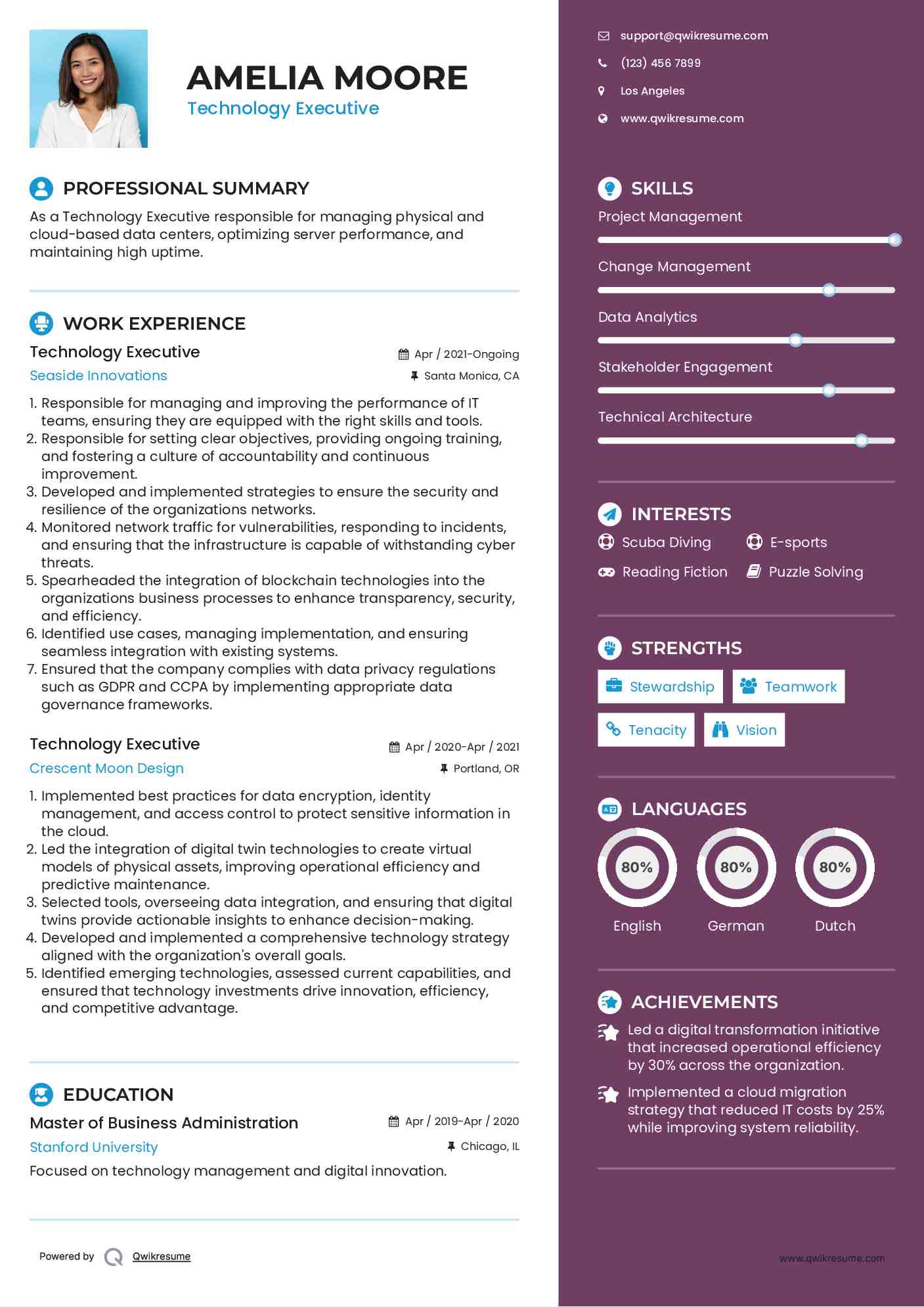 Technology Executive Resume Format
