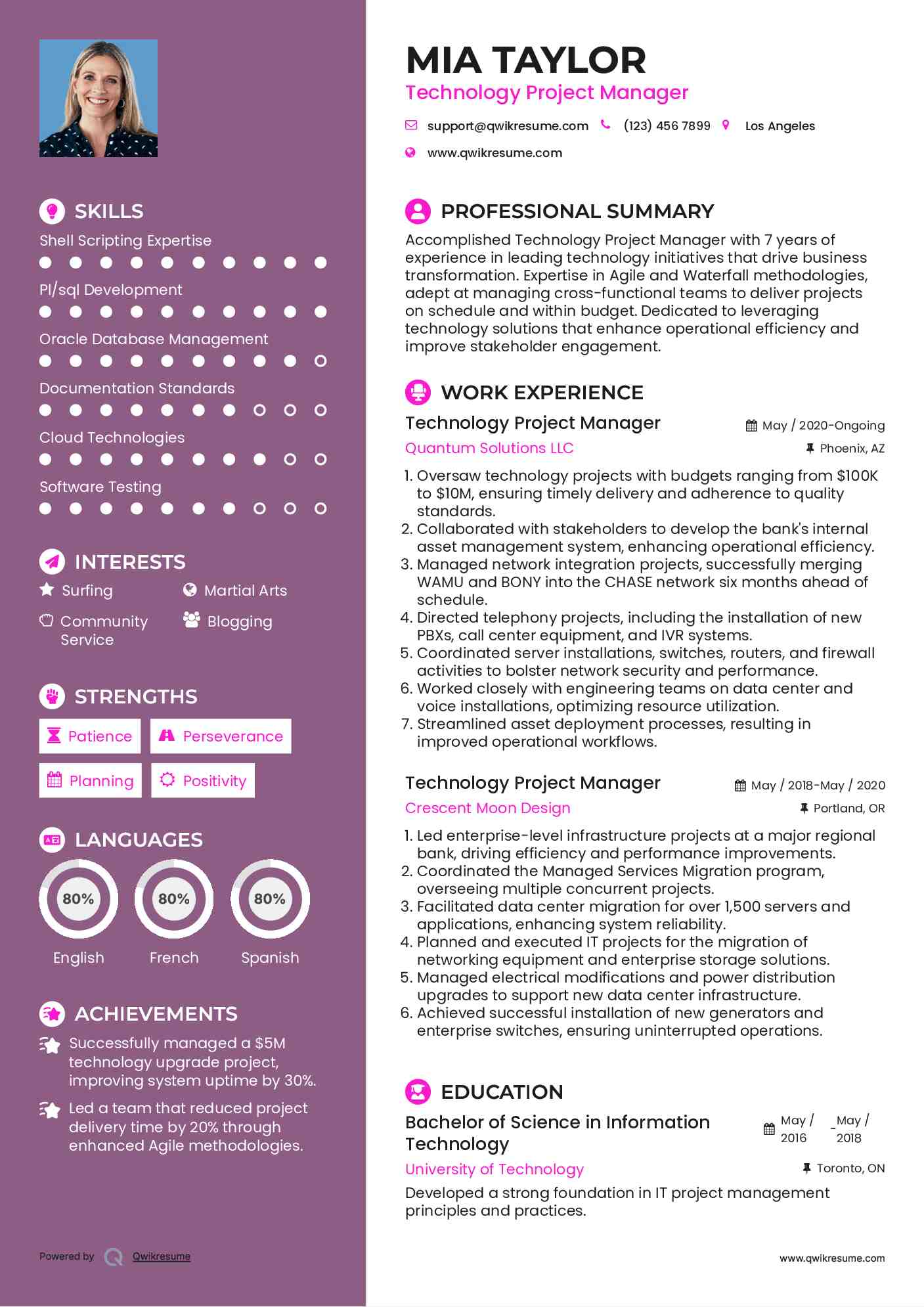 Technology Project Manager Resume Sample