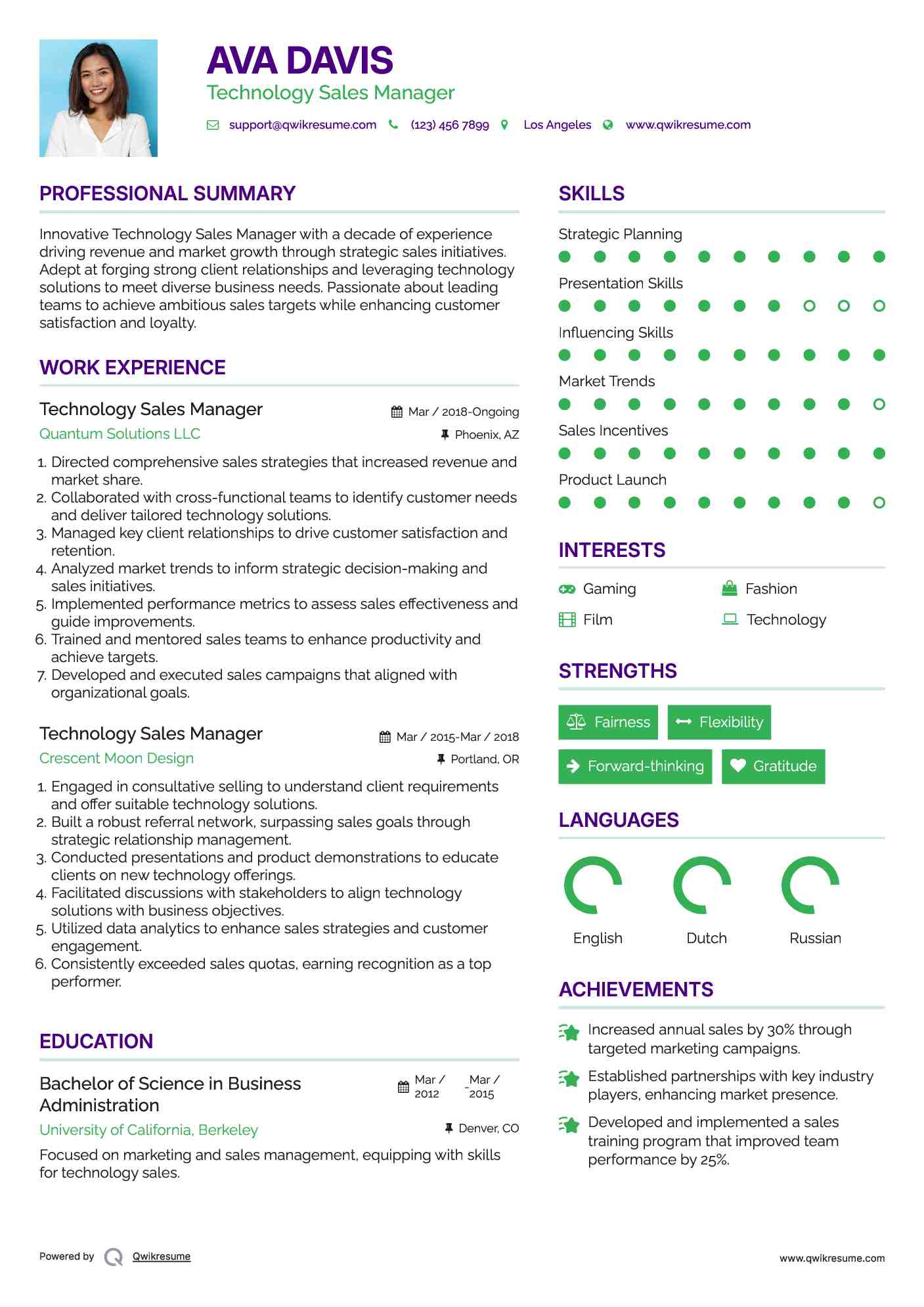 Technology Sales Manager Resume Example