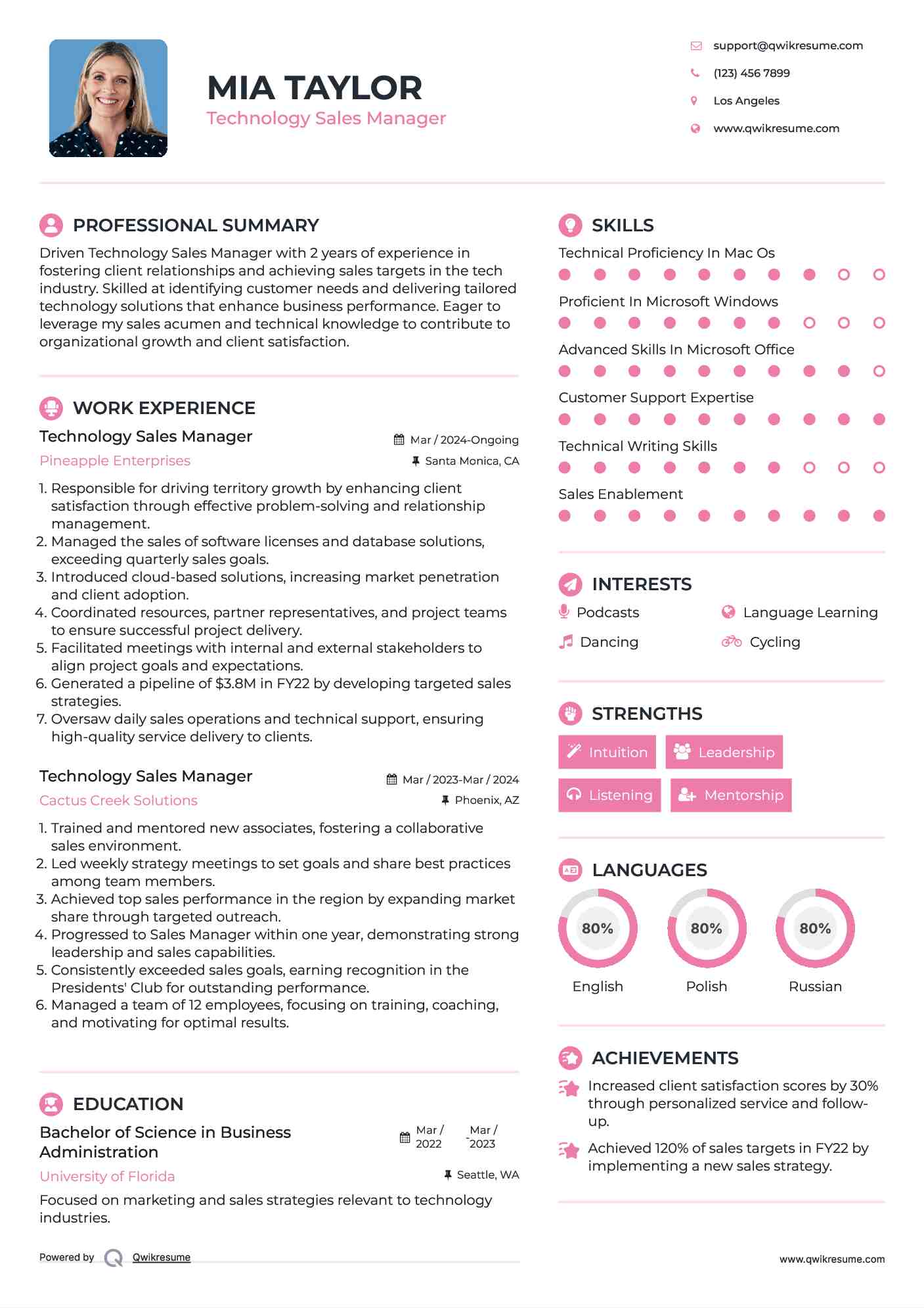 Technology Sales Manager Resume Template