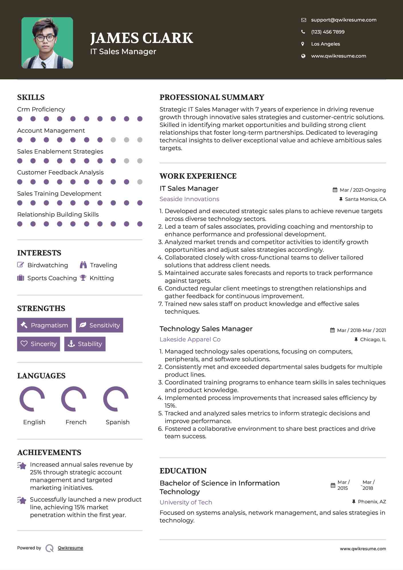 IT Sales Manager Resume Format