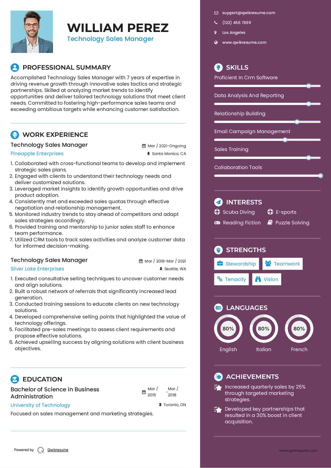 Technology Sales Manager Resume Model