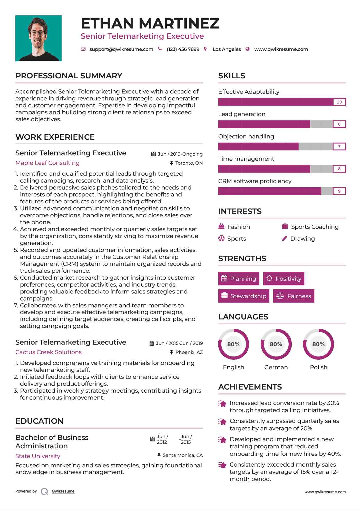 Senior Telemarketing Executive Resume Template